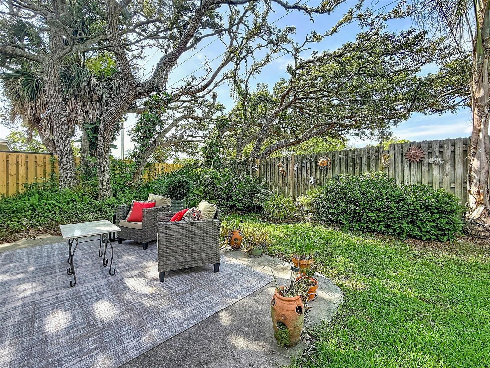 Backyard
