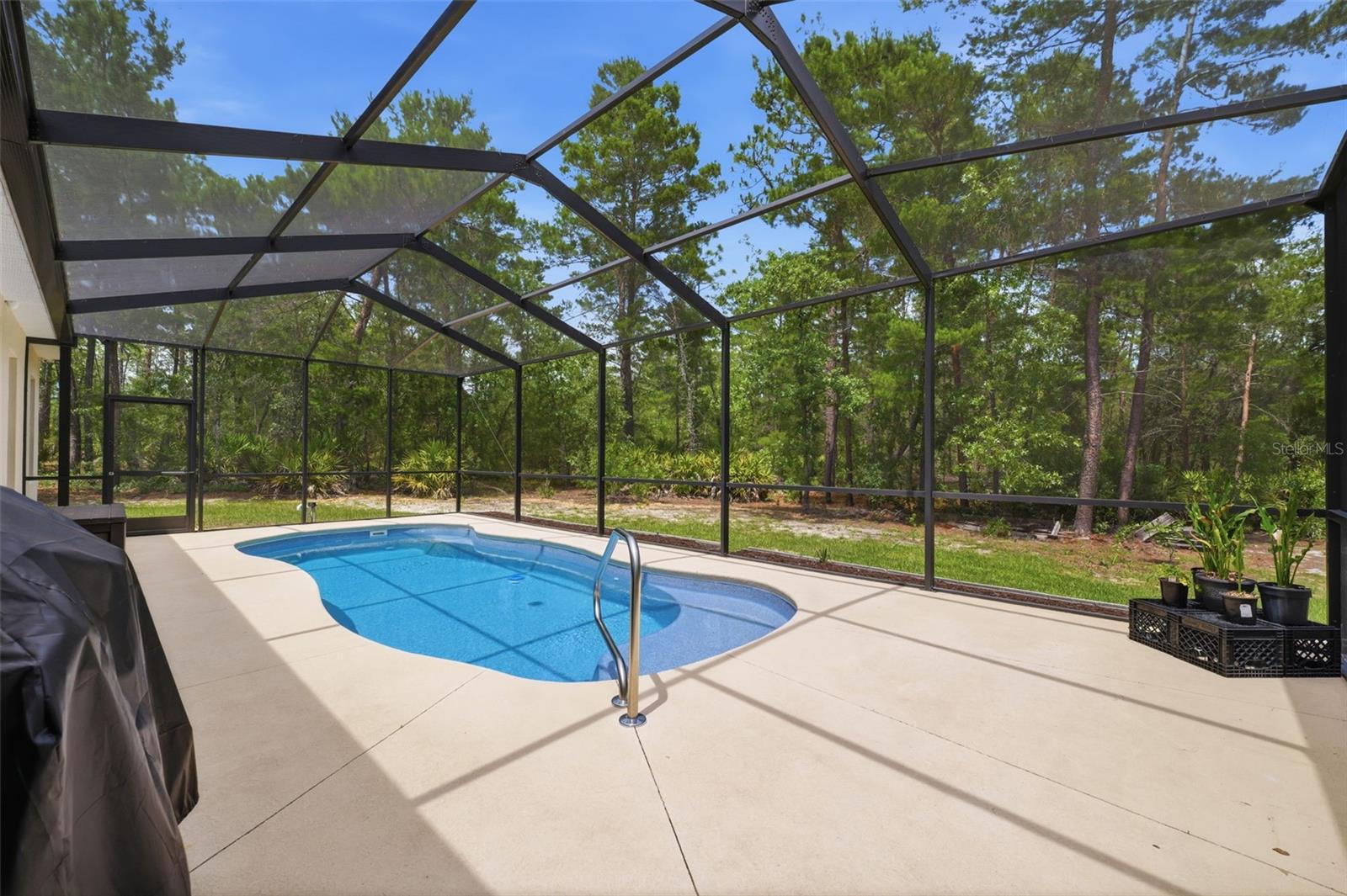 Gorgeous private pool area!