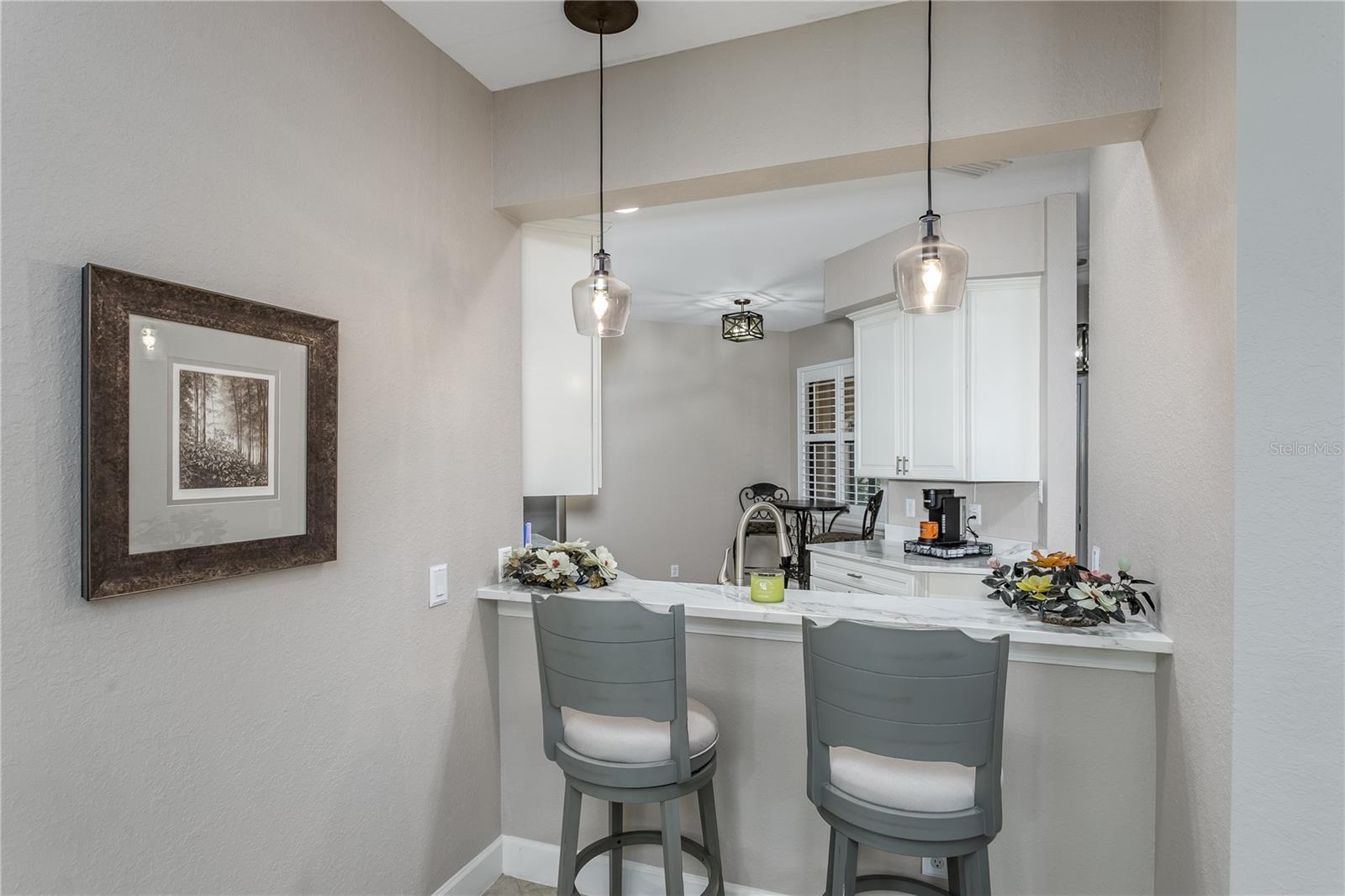 Kitchen bar