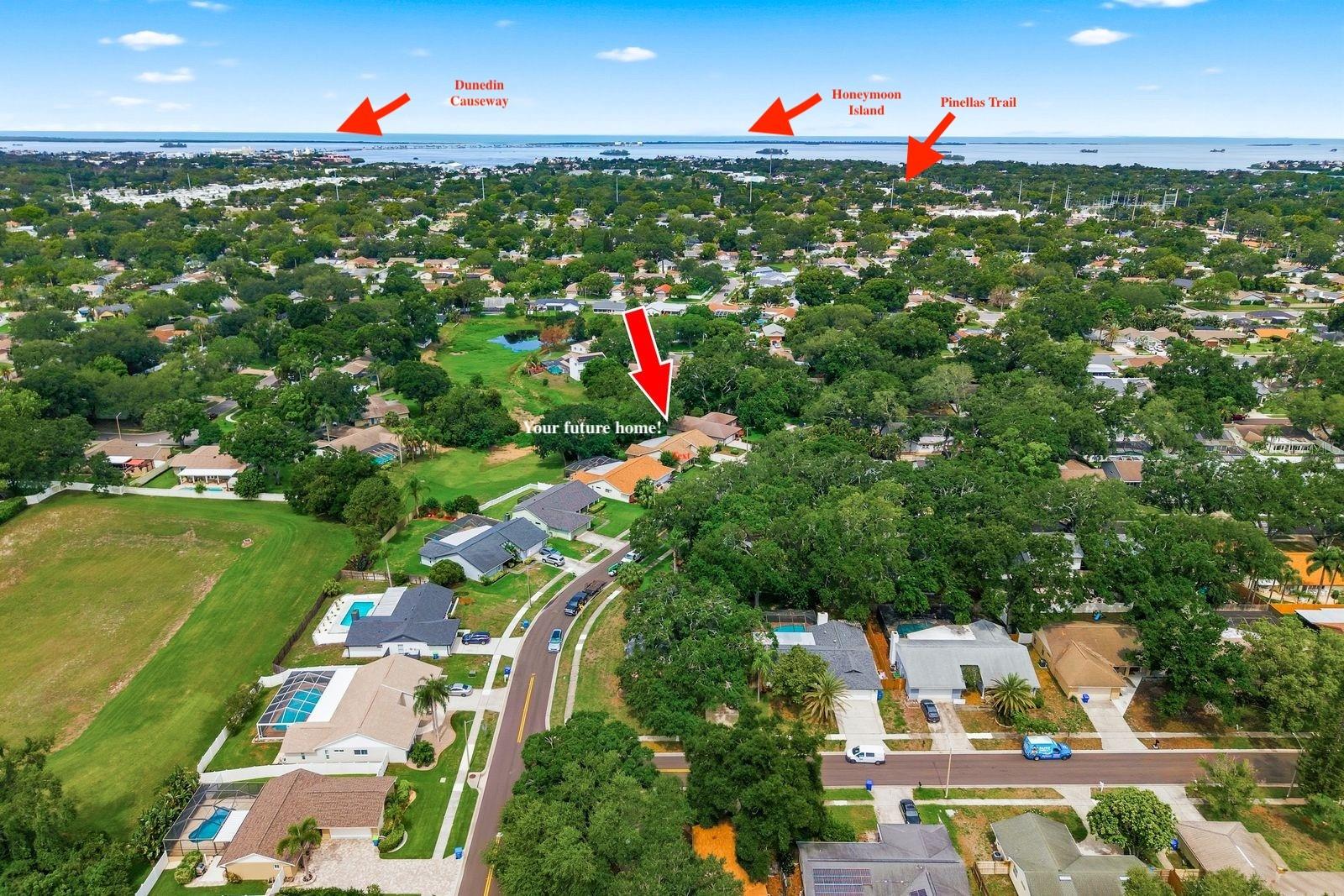 Arrows are an estimate for specific locations