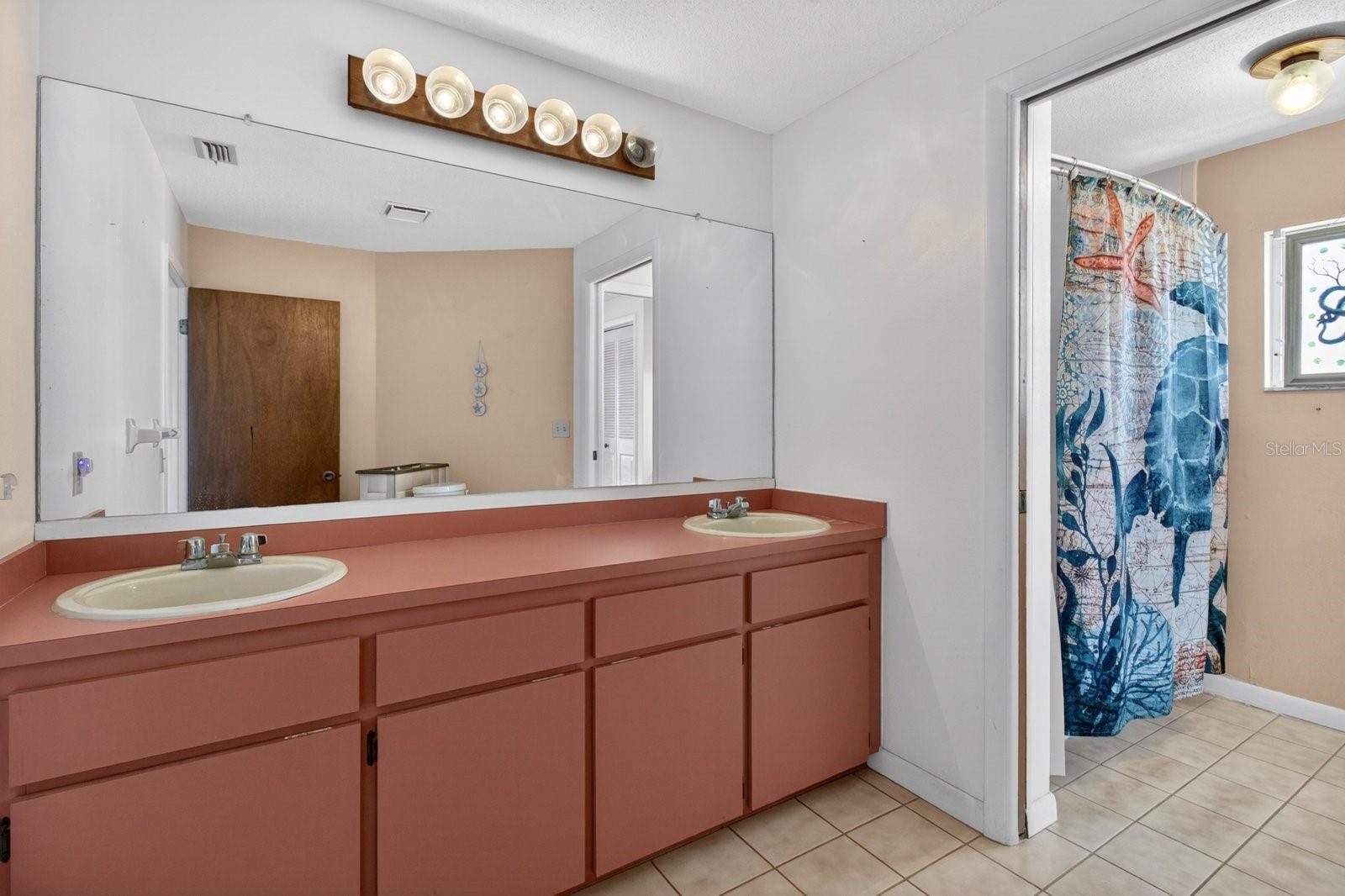 Primary bathroom