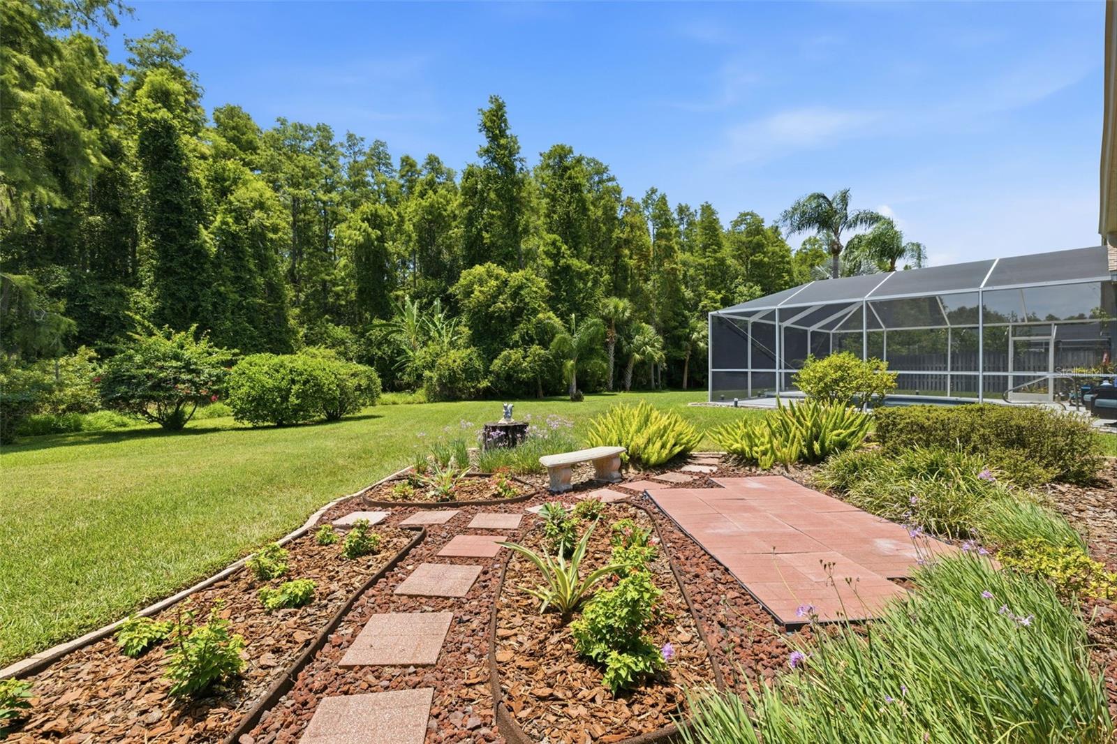 Backyard & Conservation