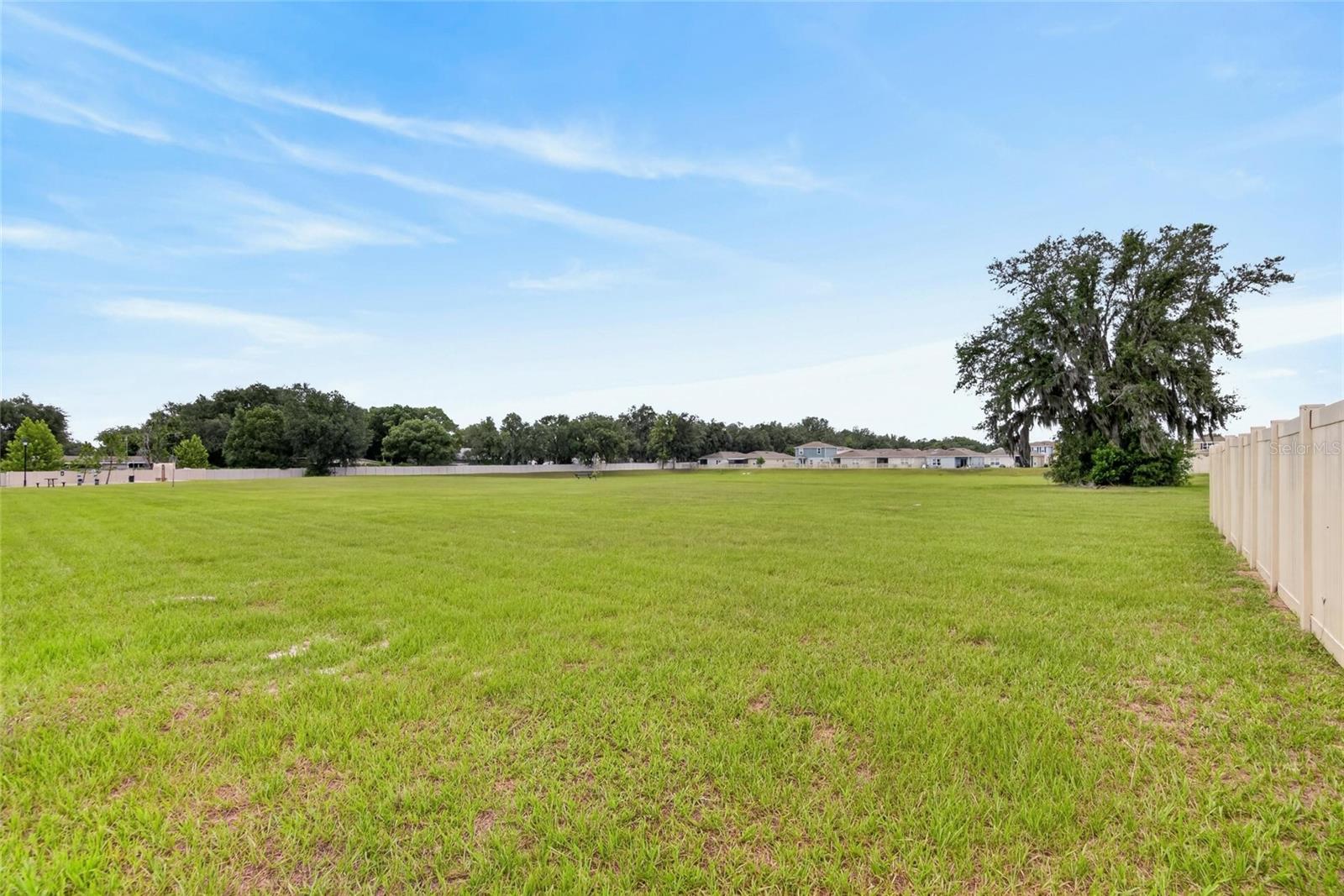 LARGE OPEN FIELD