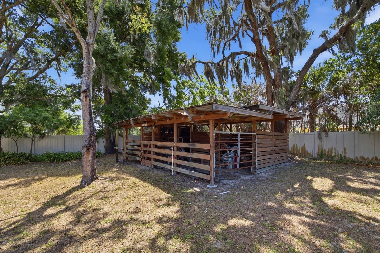 Horse Stable