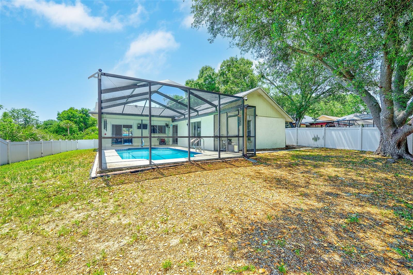 View of back yard