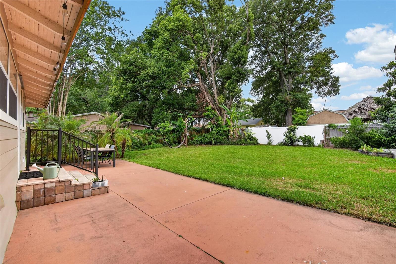 Backyard