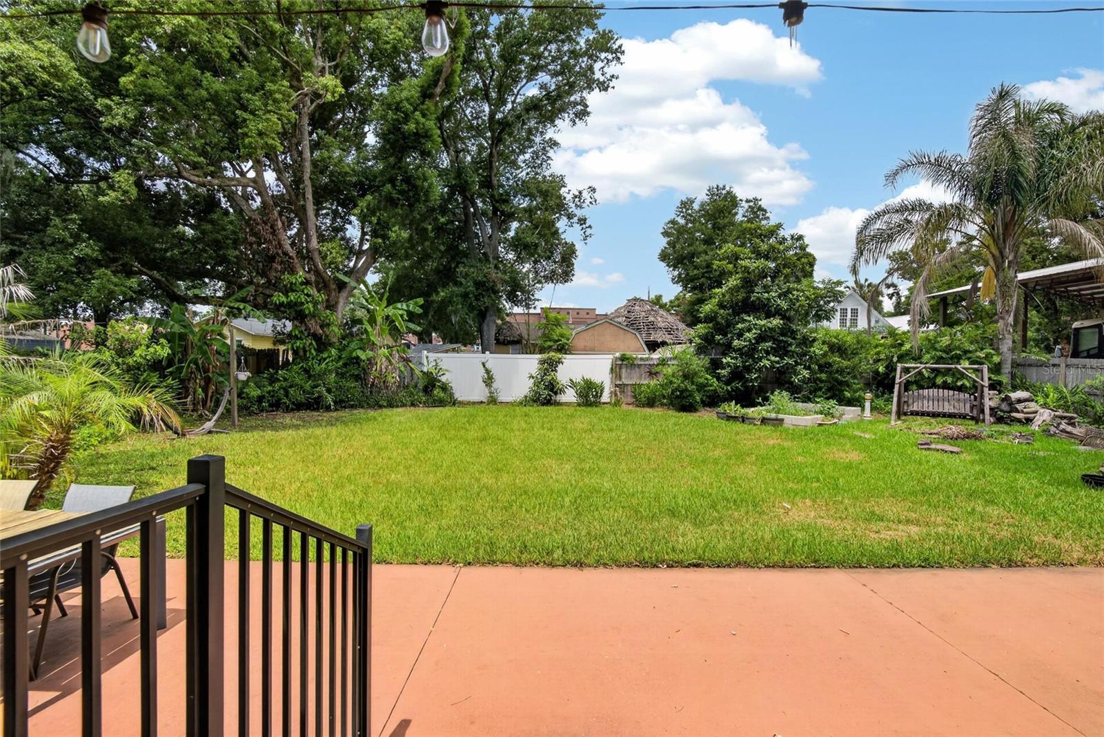 Backyard