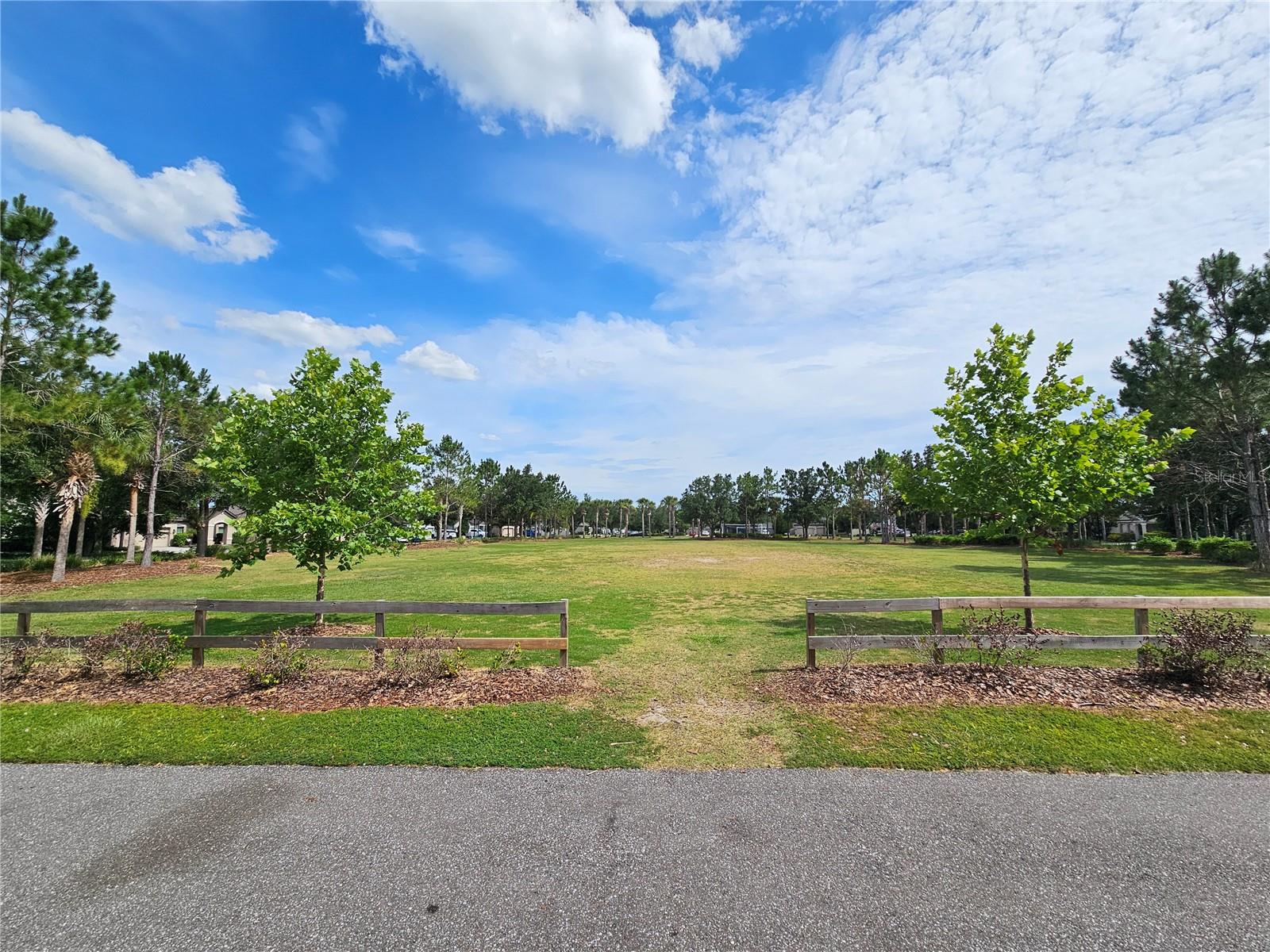 Soccer Field