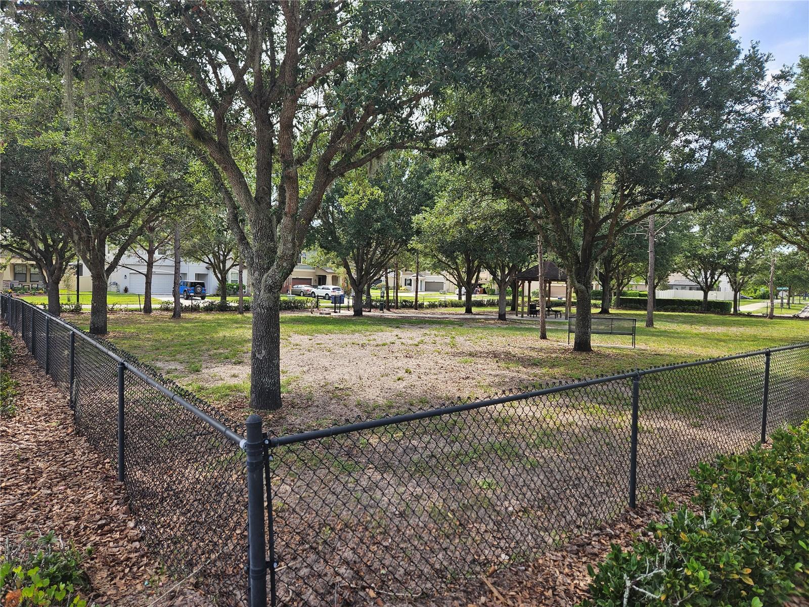Dog park