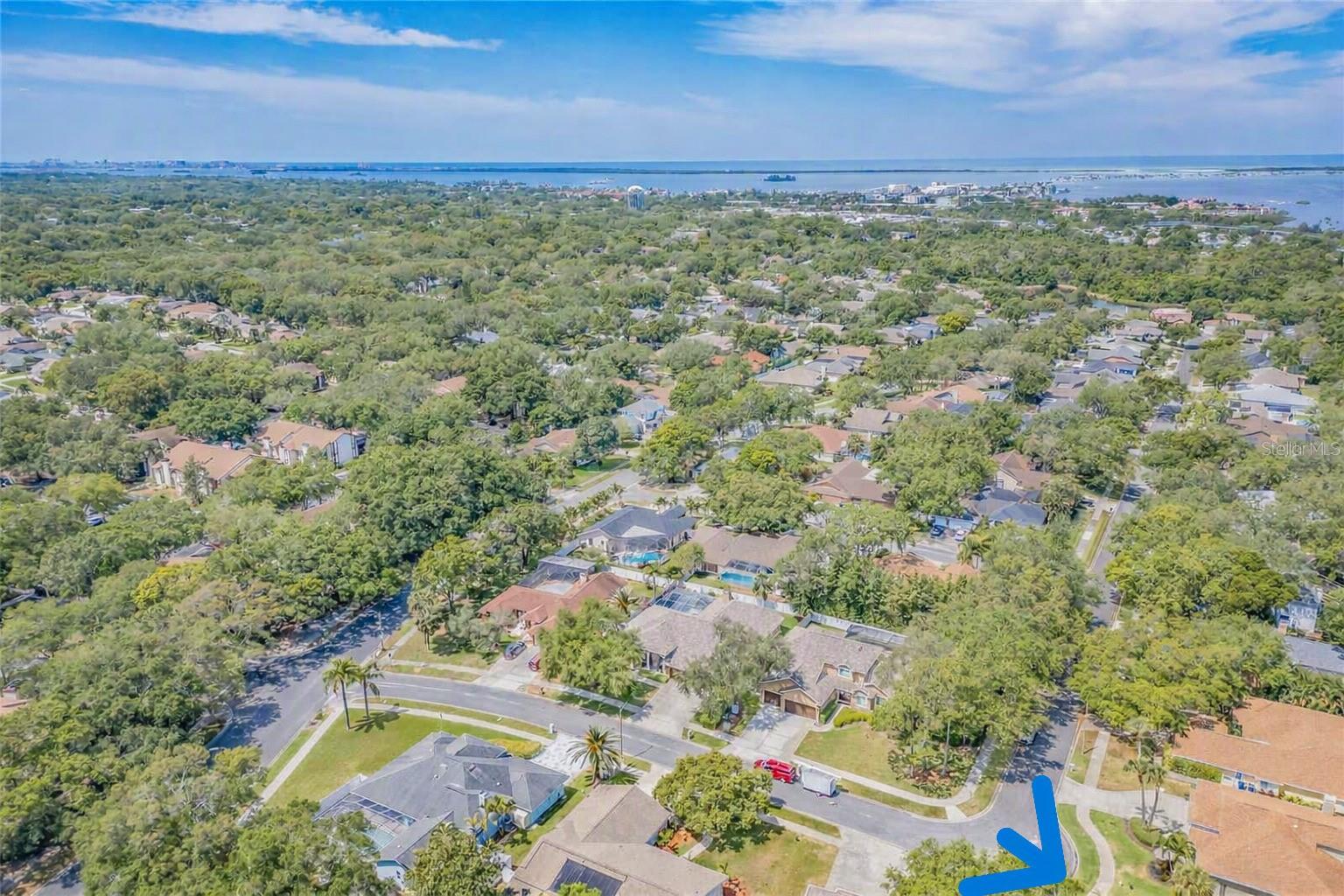 WALKING DISTANCE TO THE DUNEDIN CAUSEWAY, THE GULF AND PINELLAS TRAIL