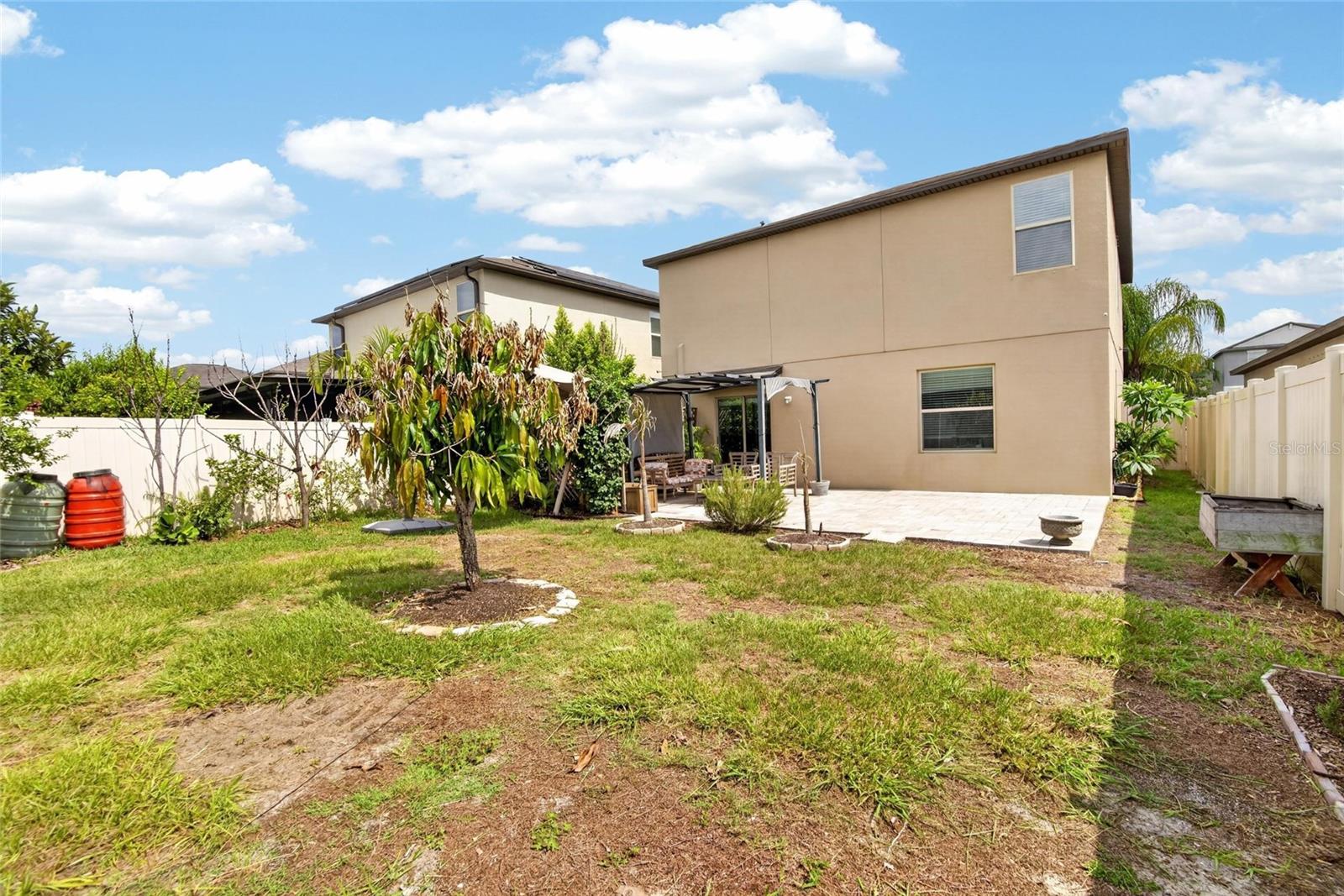 Backyard / Rear View