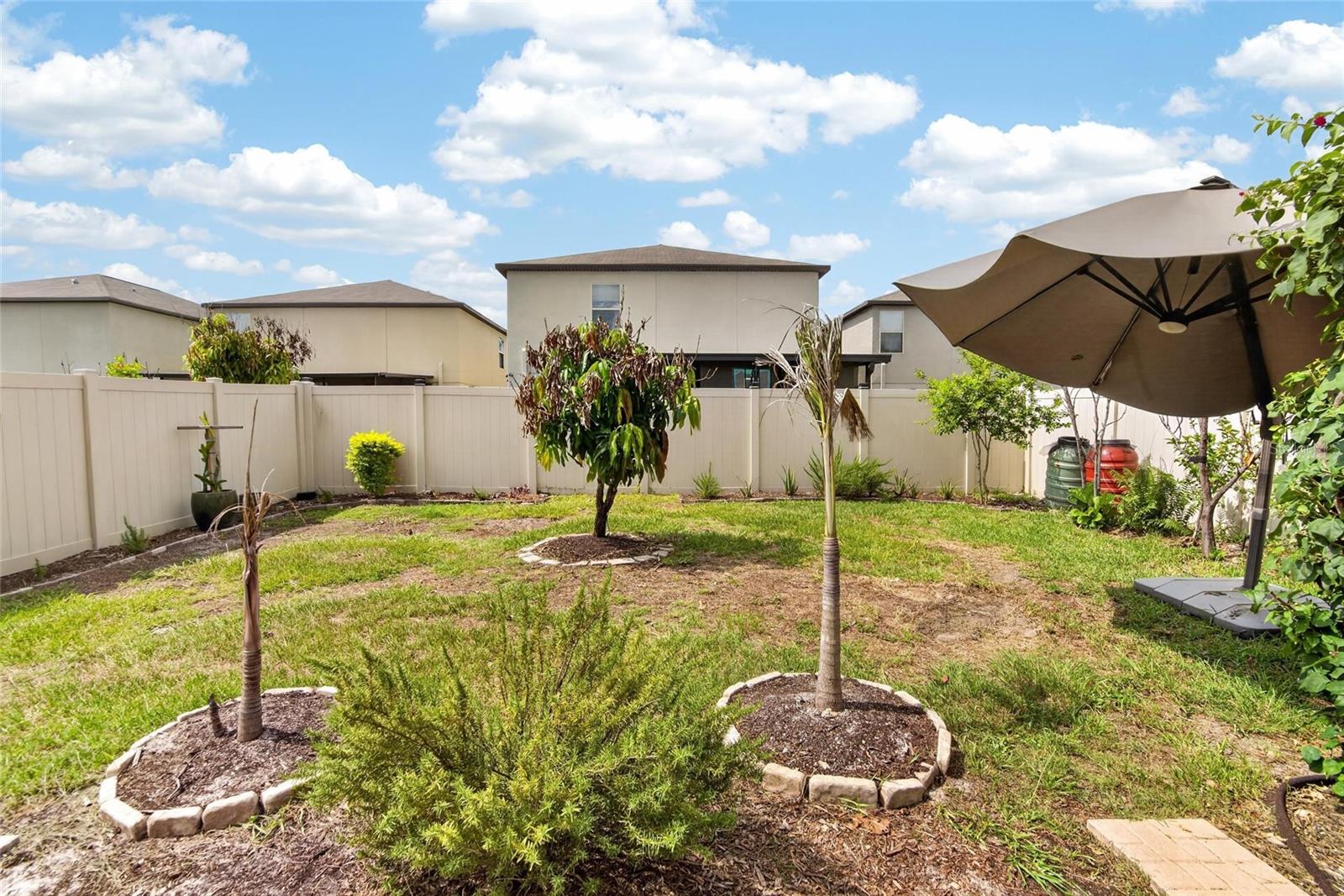Backyard / Rear View