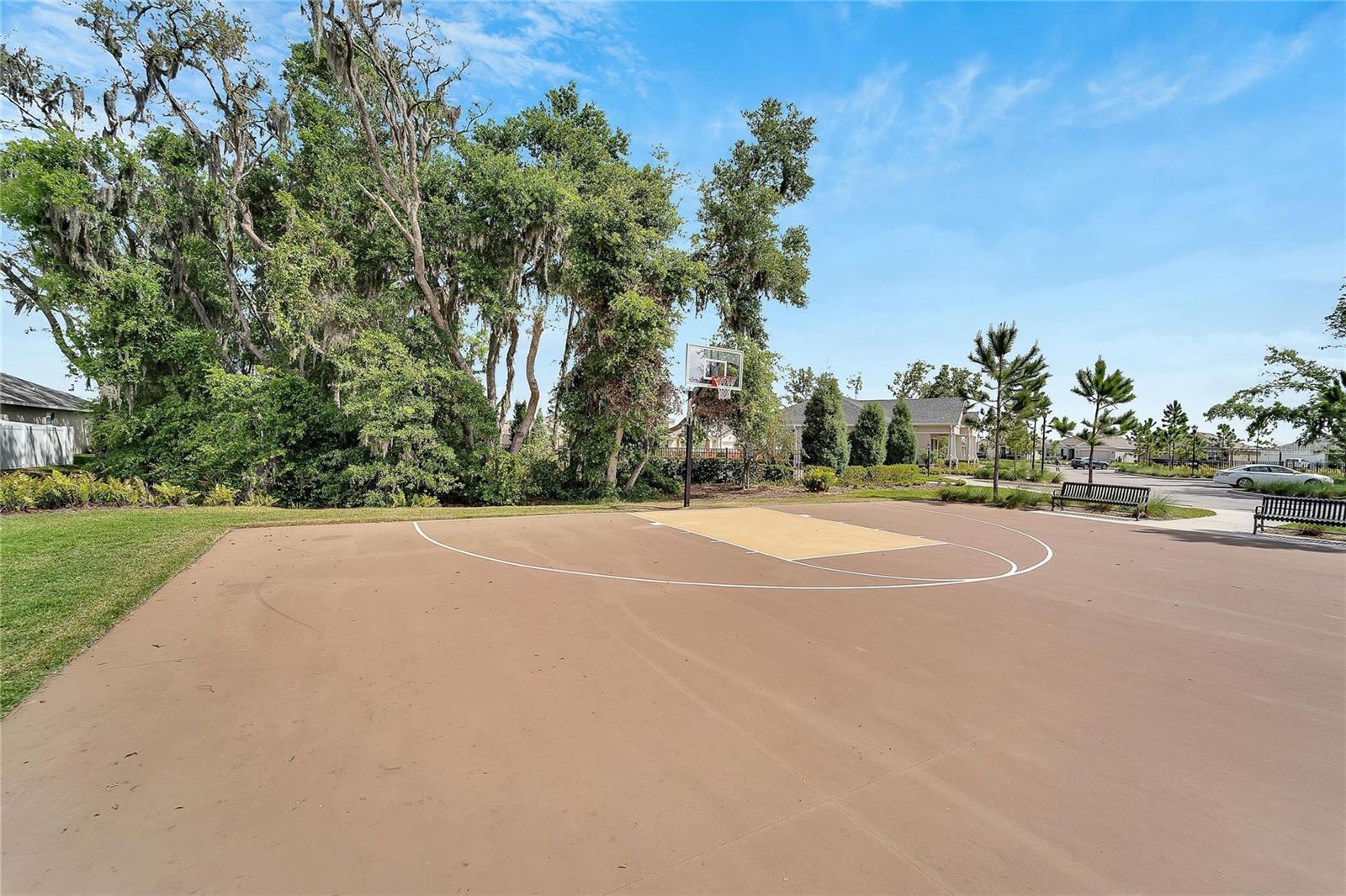 Basketball Court