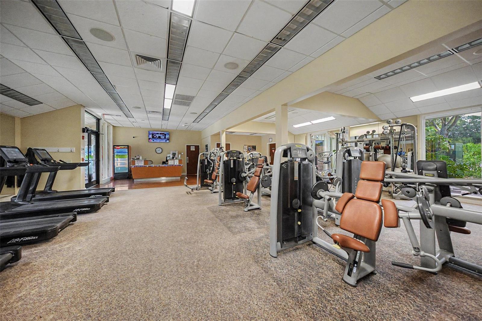 Gym