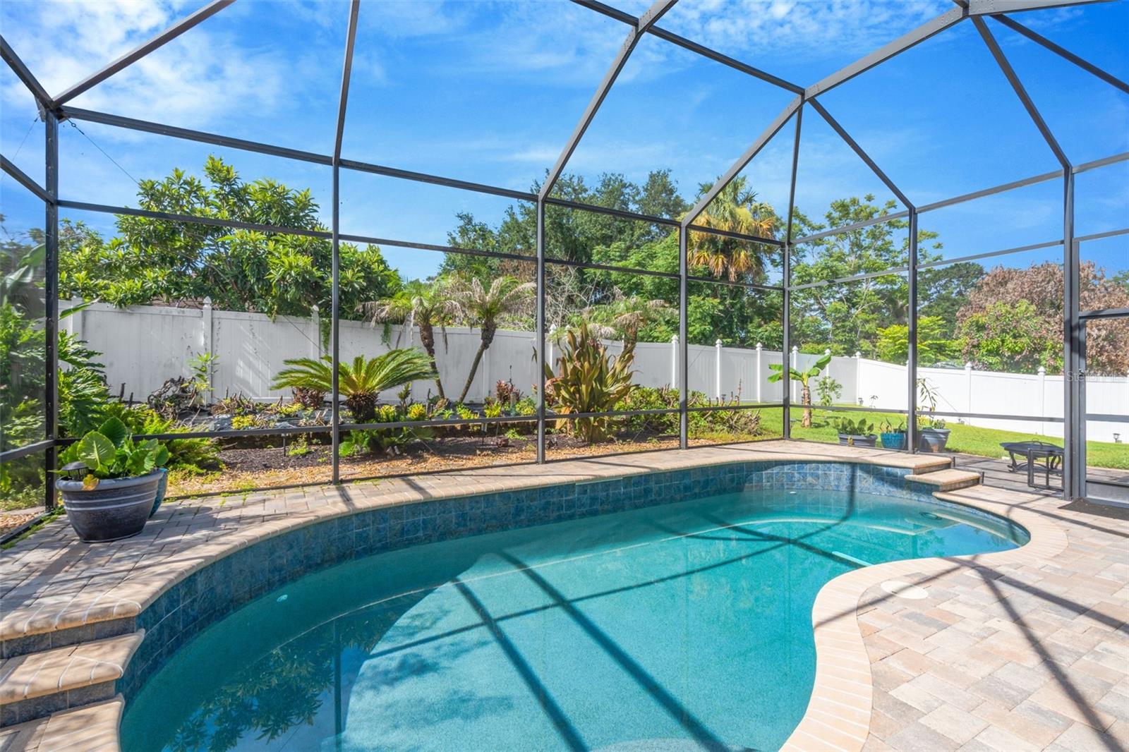 Backyard Oasis
