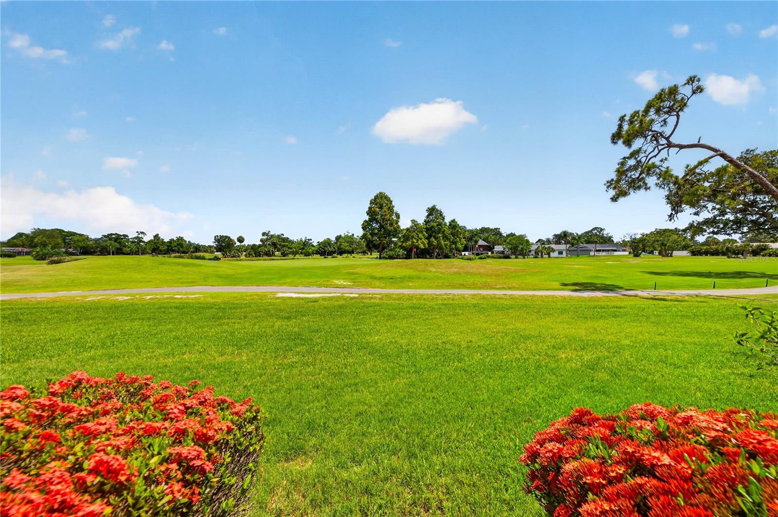View from Back Patio overlooking Hole 5
