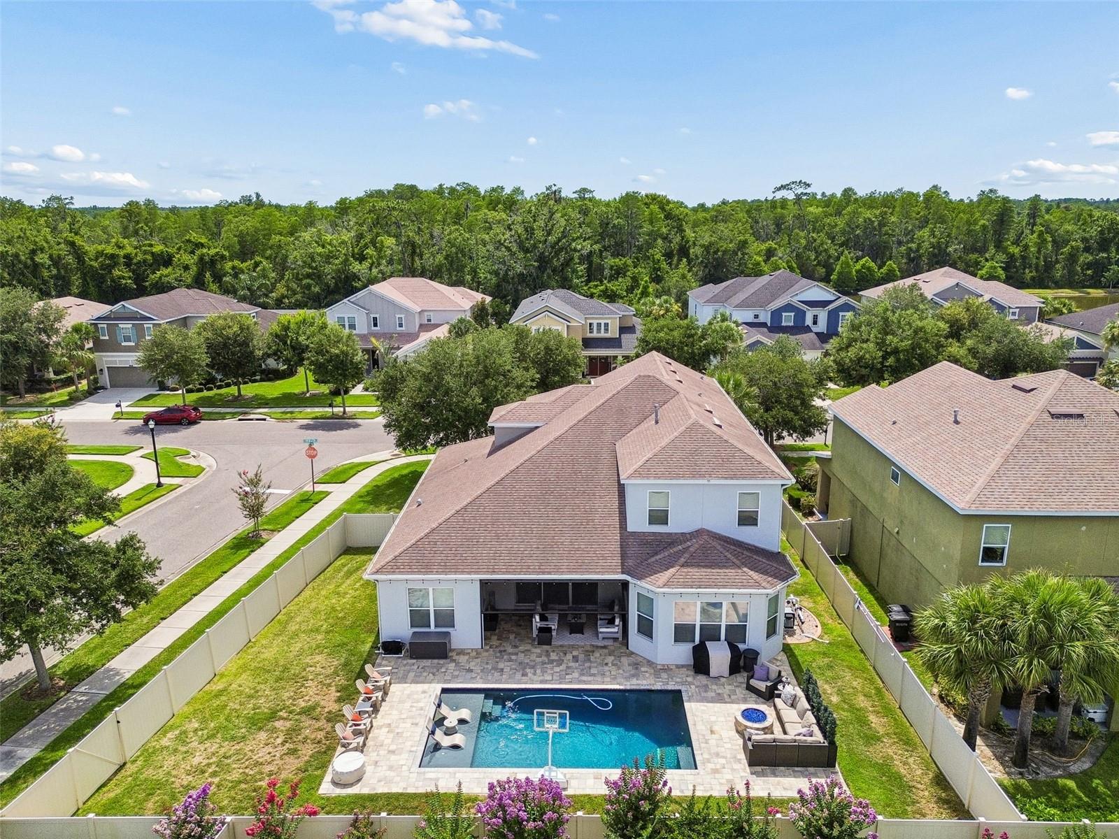 Aerial View of the back yard