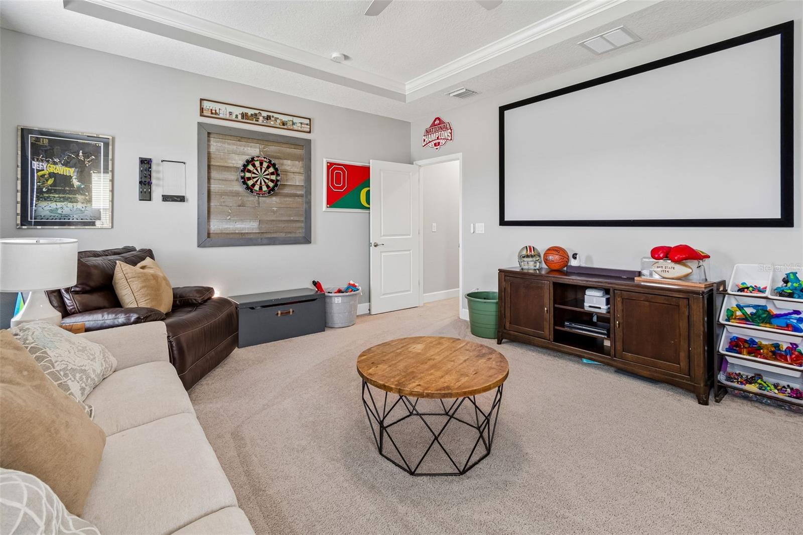 Bonus Room with screen and projector