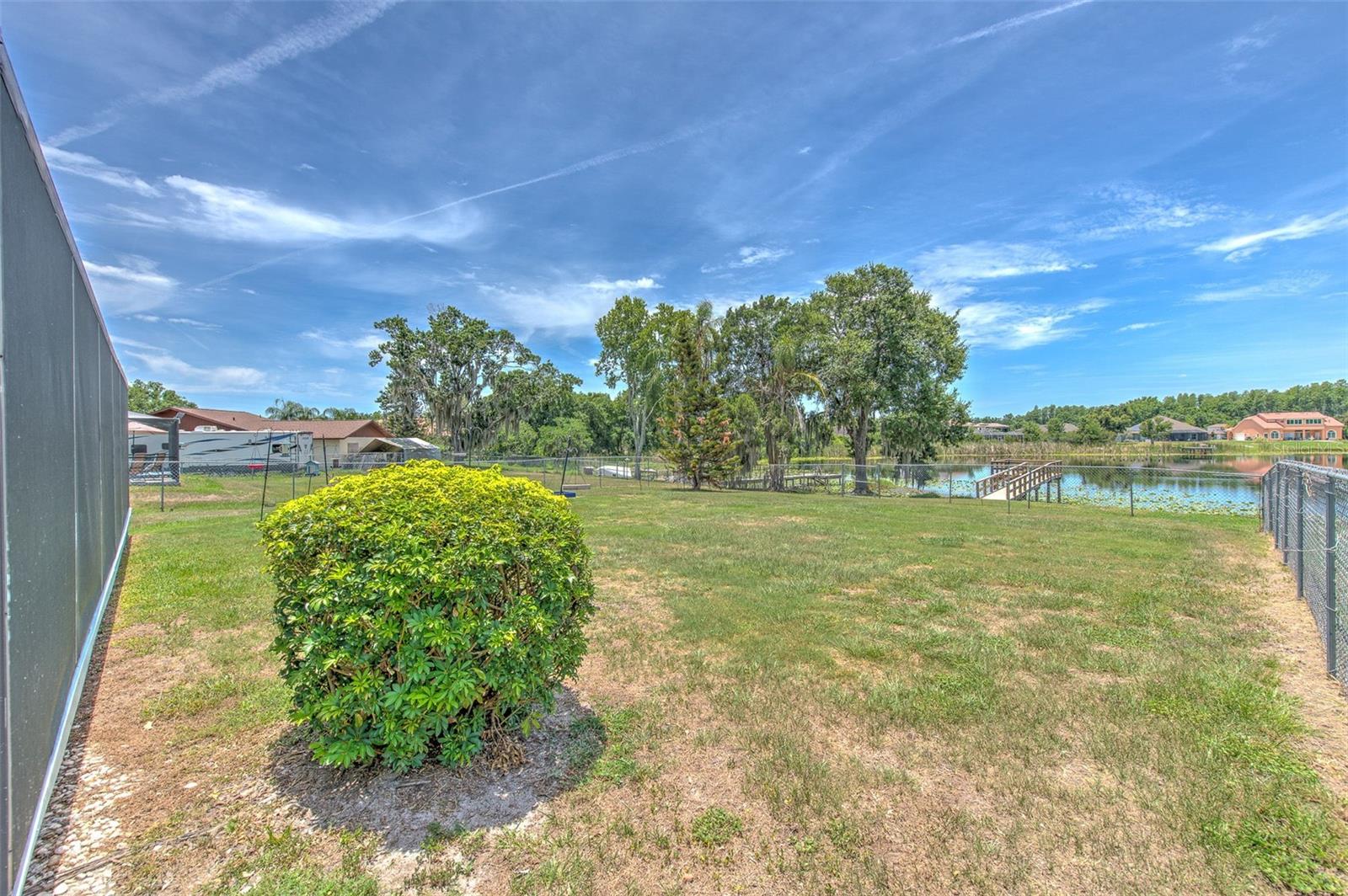 Huge backyard, lots of nature & birds