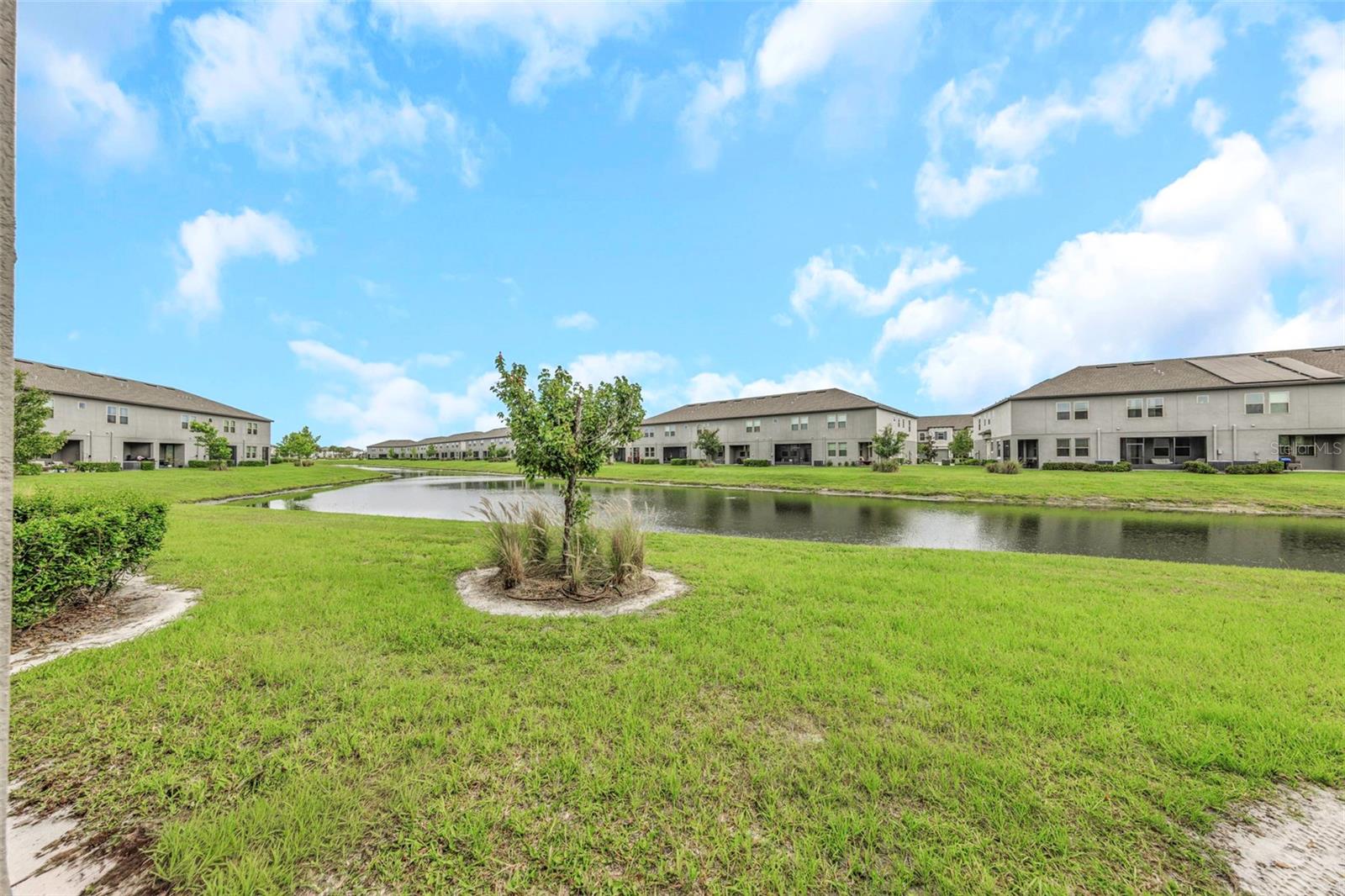 Open pond view