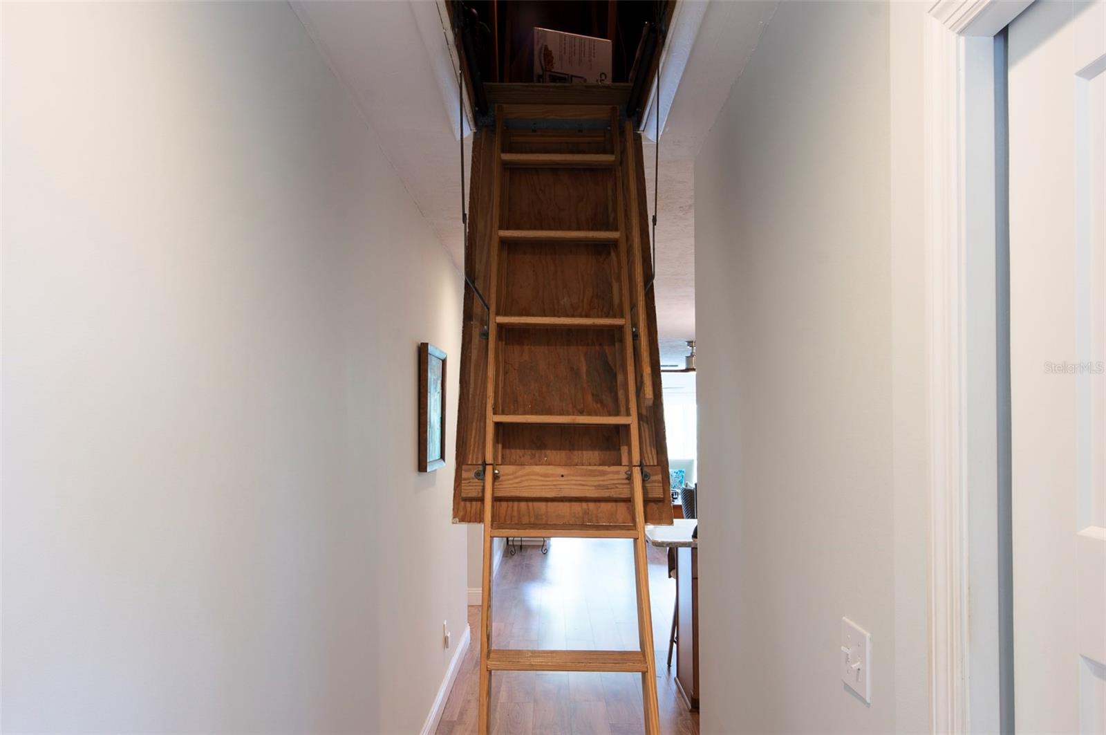 Large Attic with partical plywood for storage.