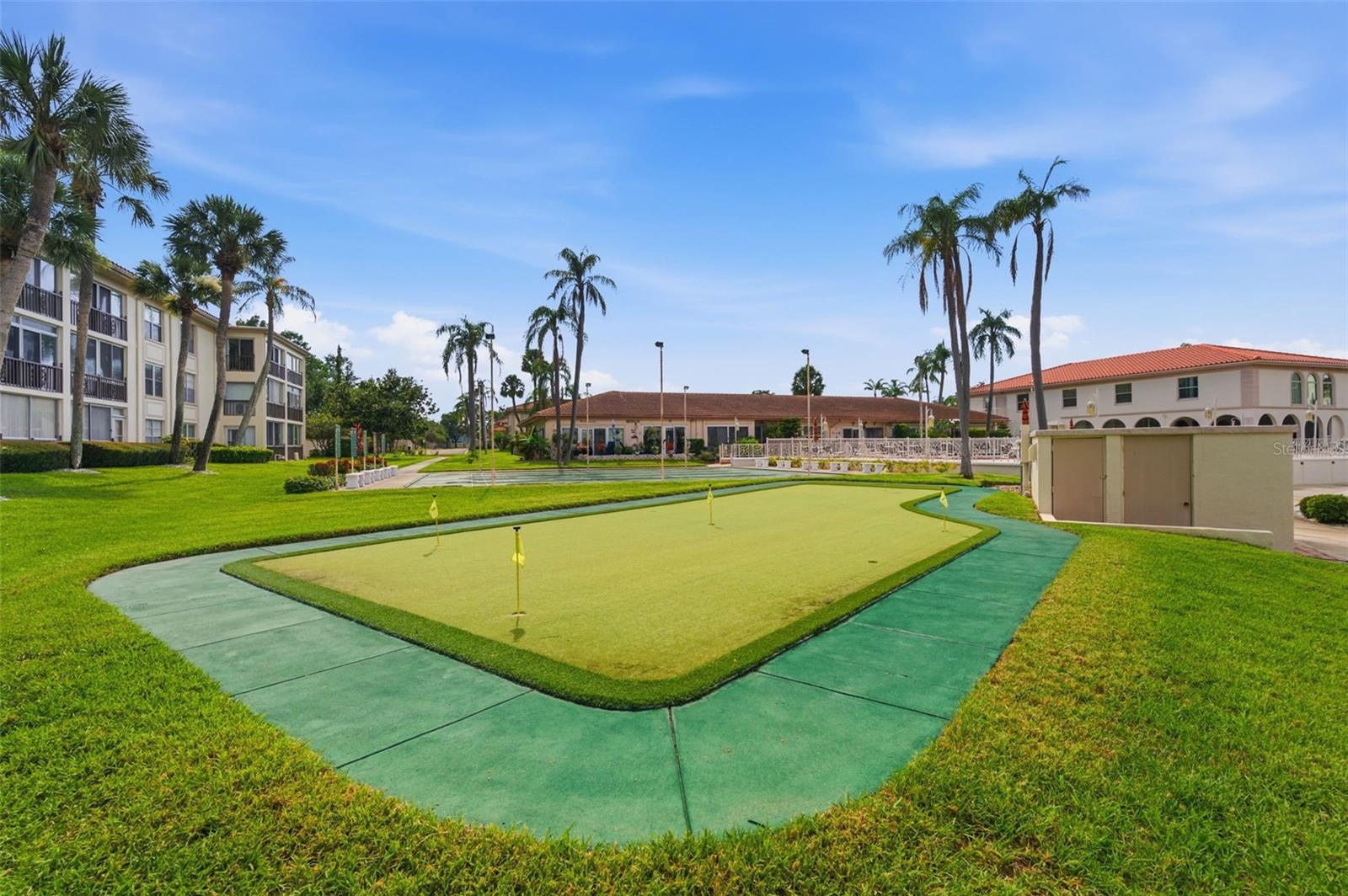 Mini putting green.