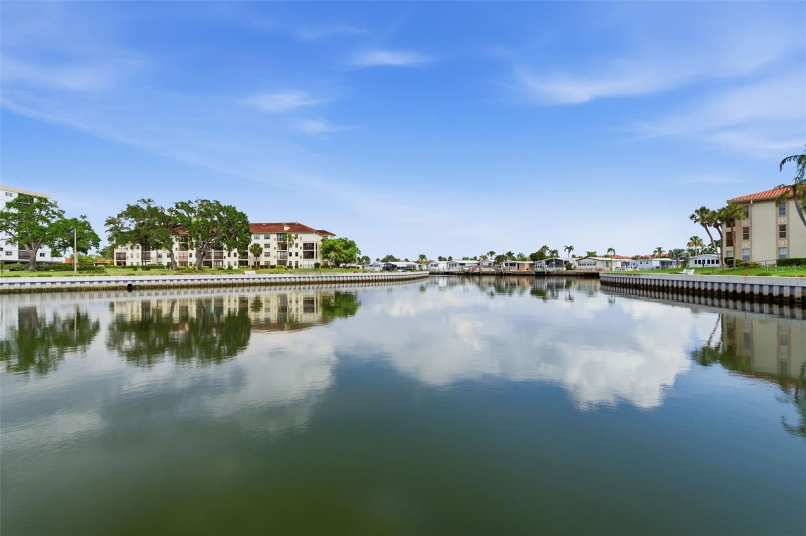 Frequent manatee and dolphin sightings along Old Tampa Bay