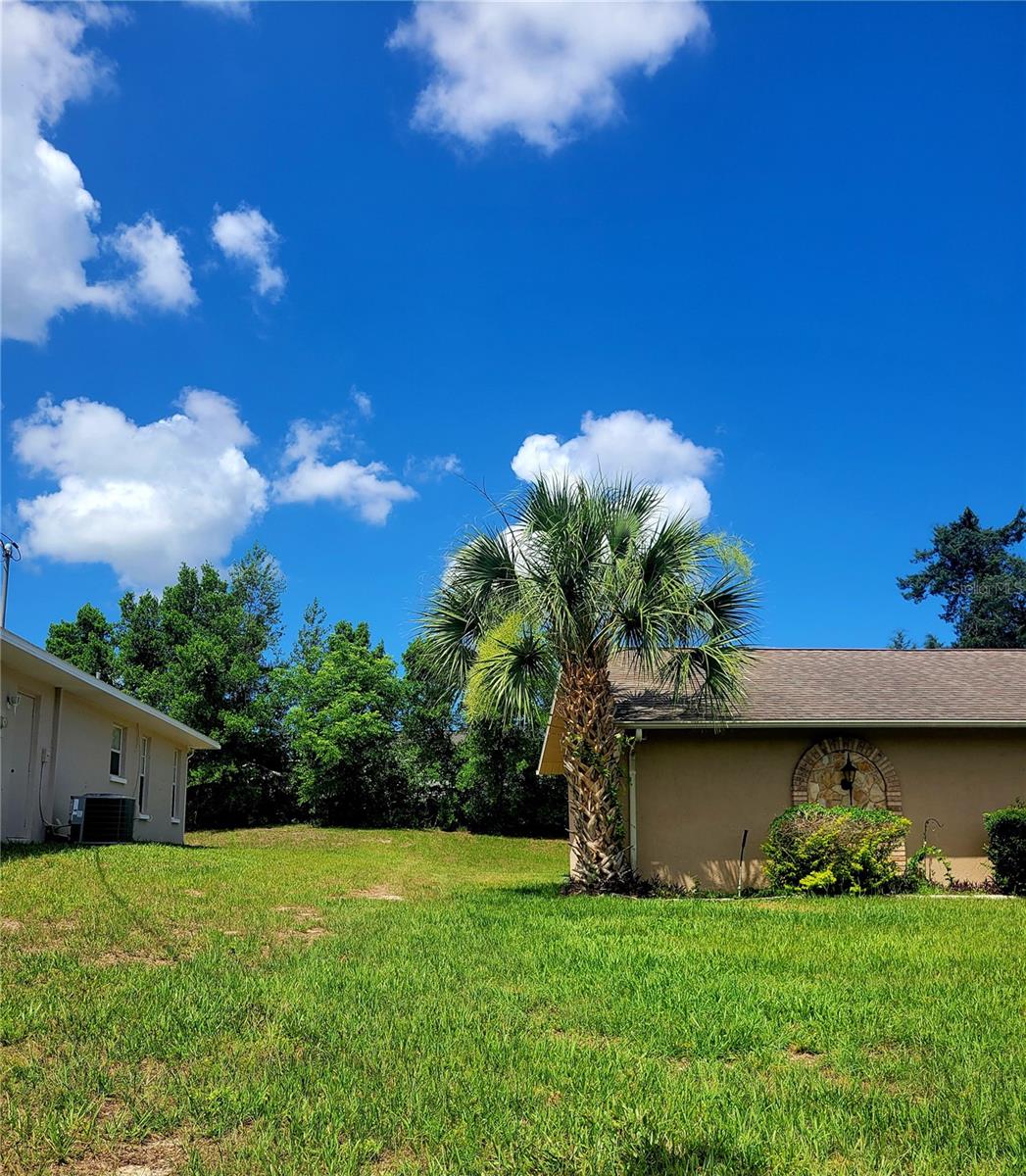 Side Yard