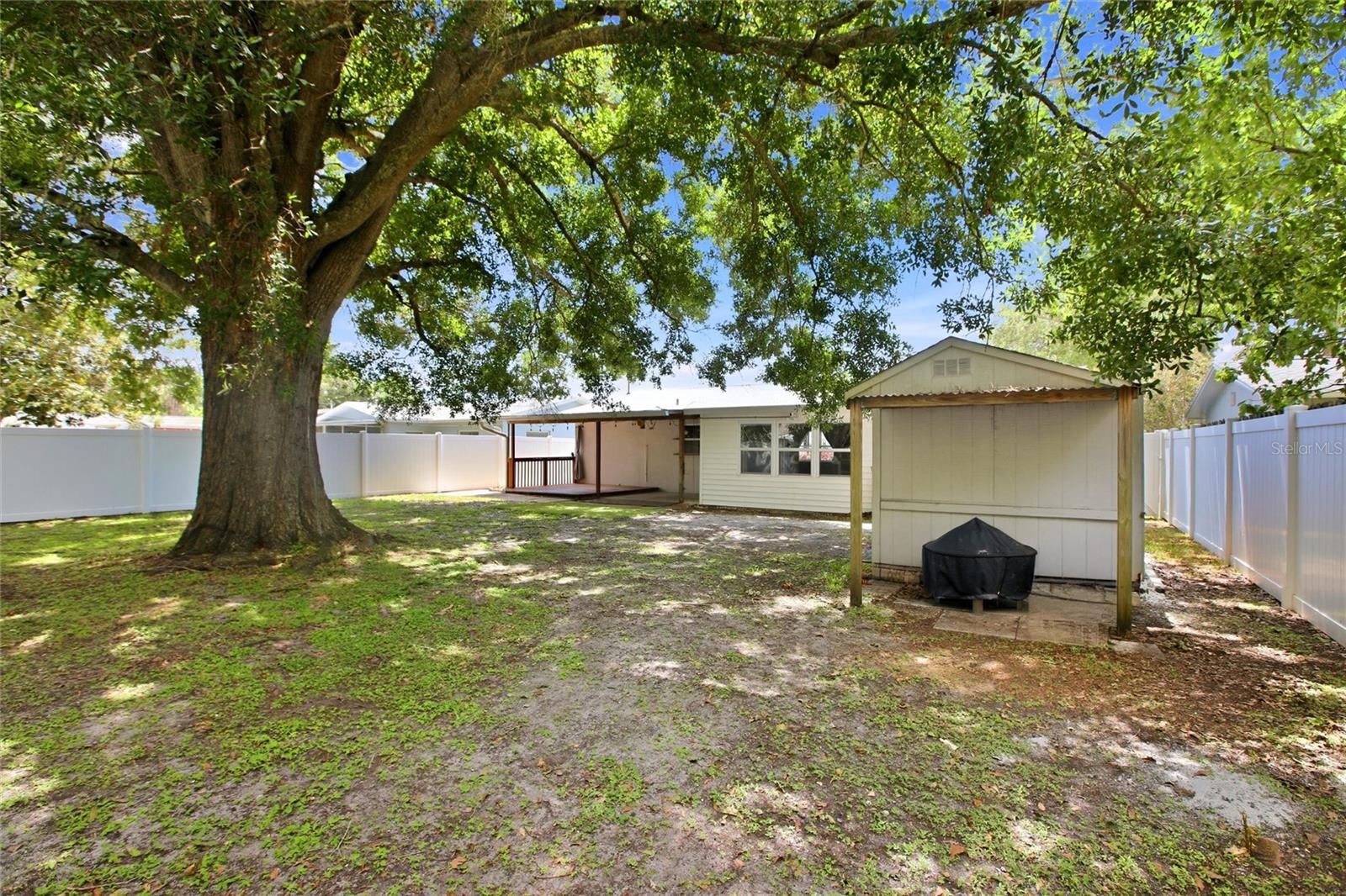 Back yard and back of house