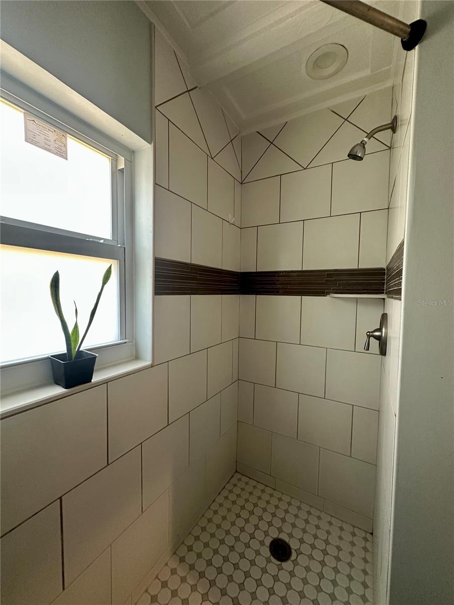 Step In Shower