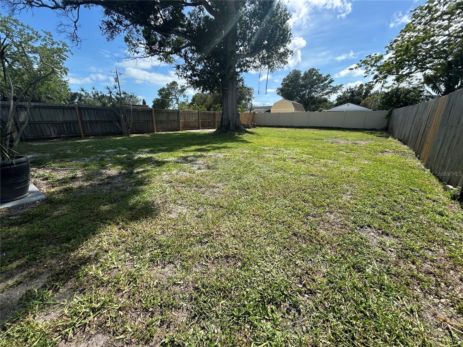 Spacious Backyard