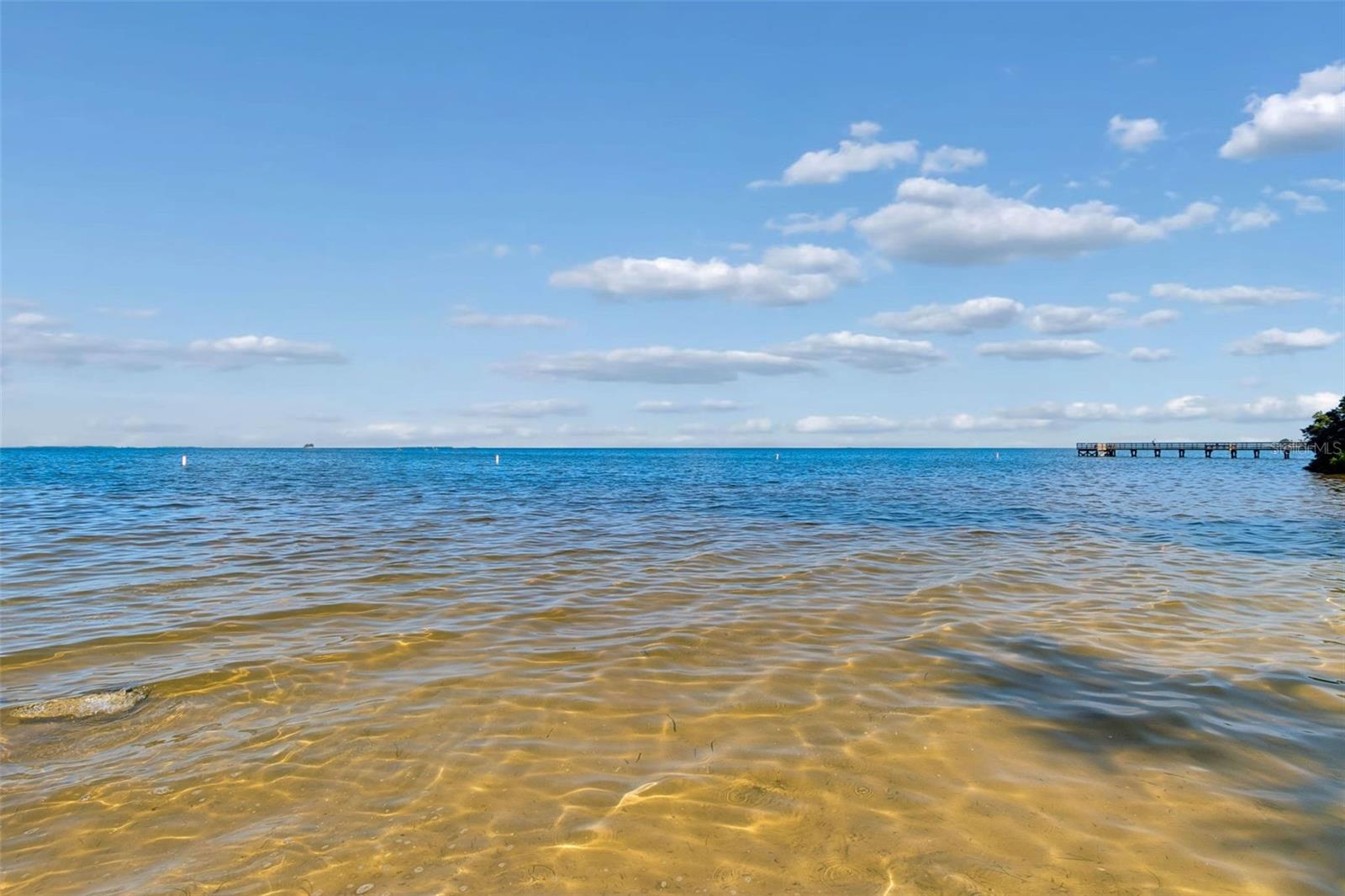 Designated swim area