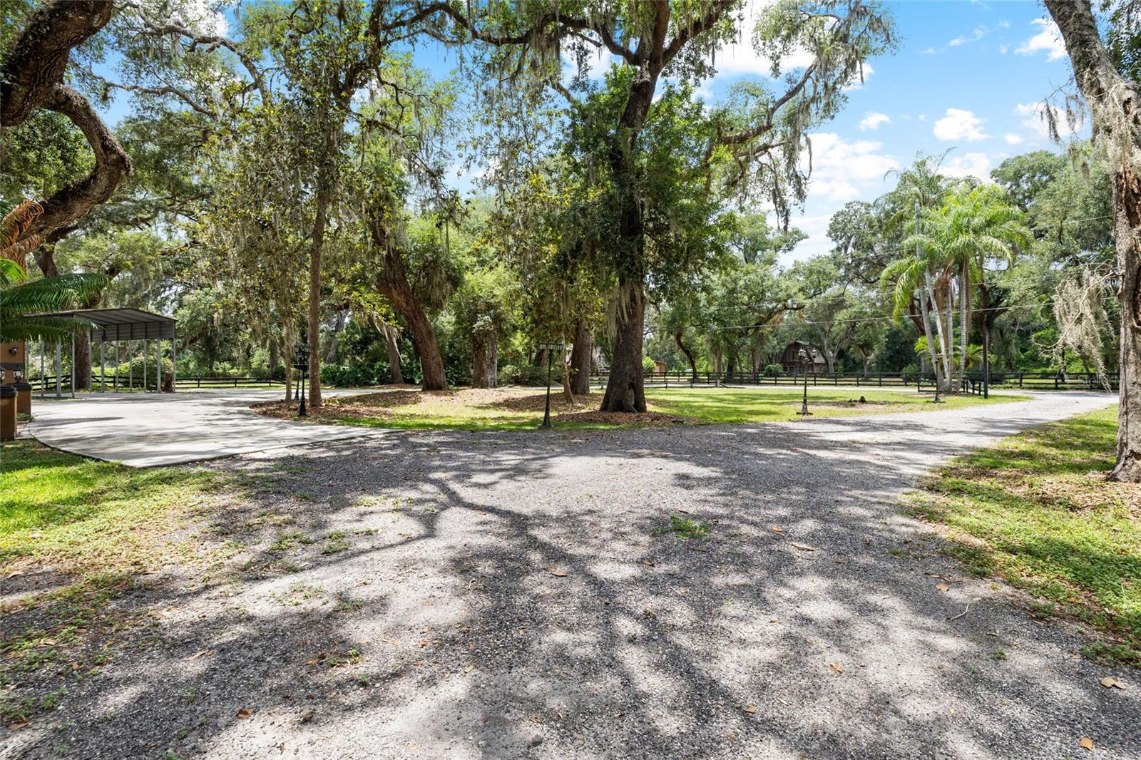 Front Yard