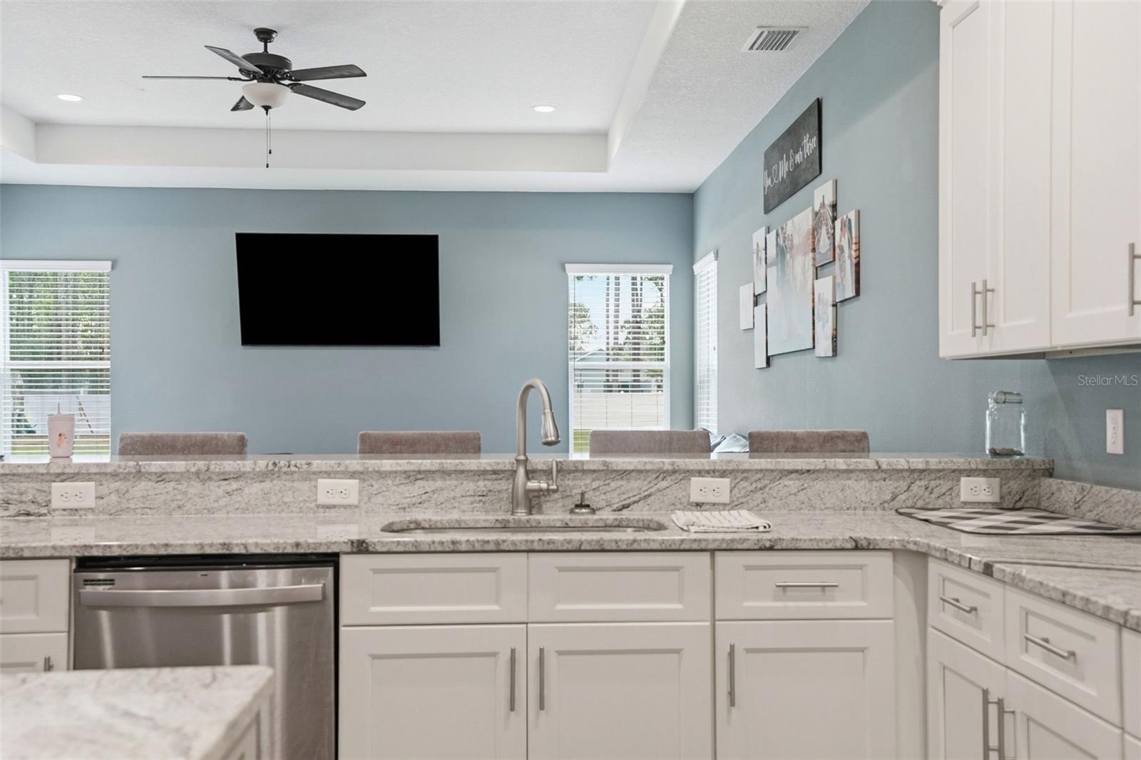 Stone counter tops!