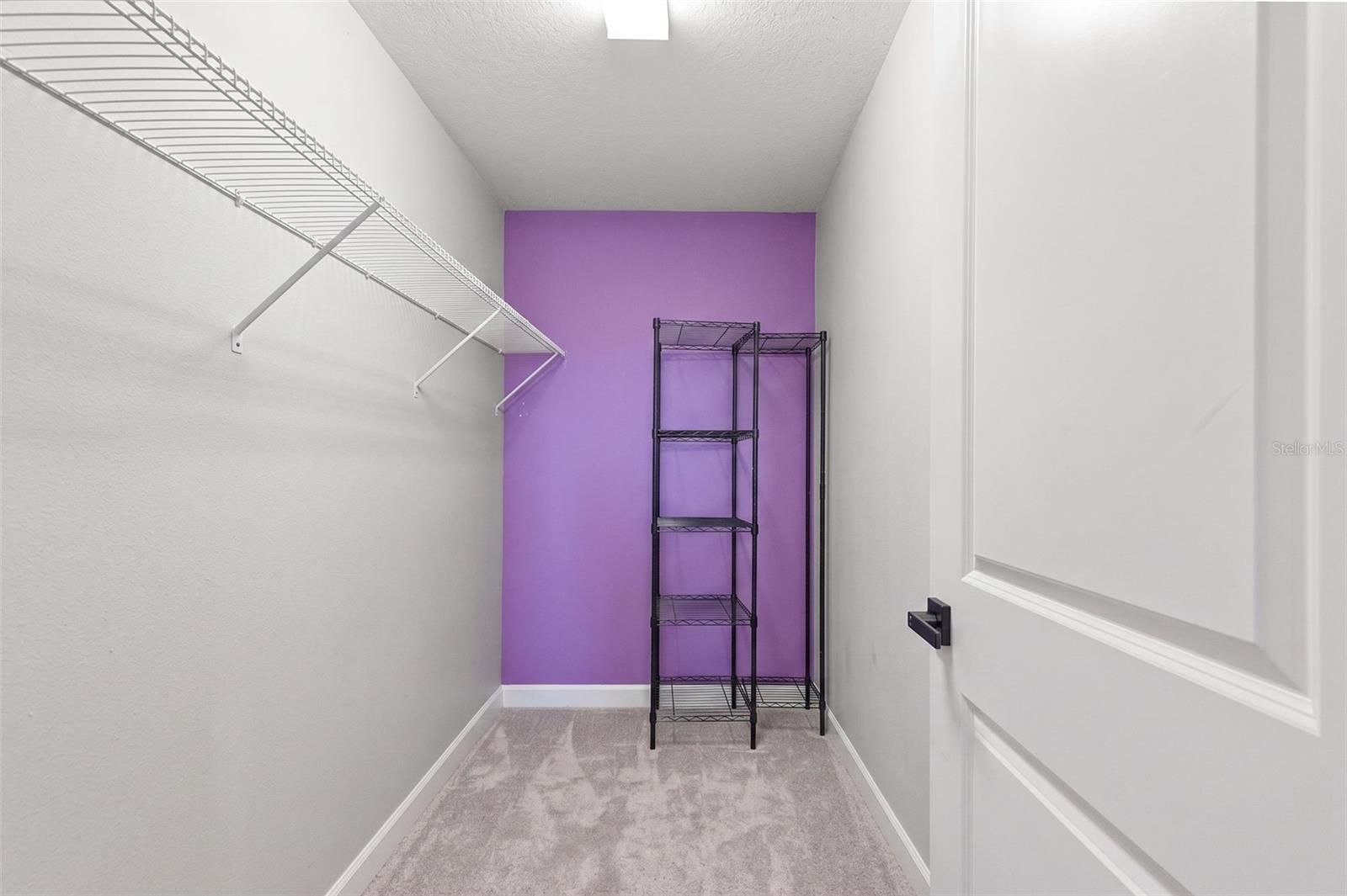 4th bedroom walk in closet