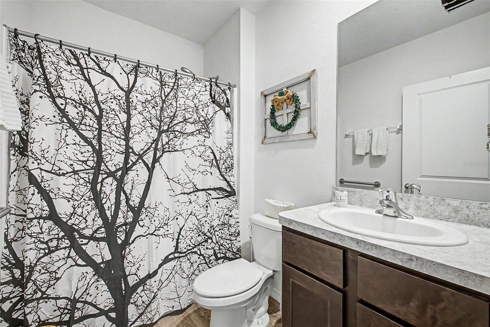Guest Bath Downstairs