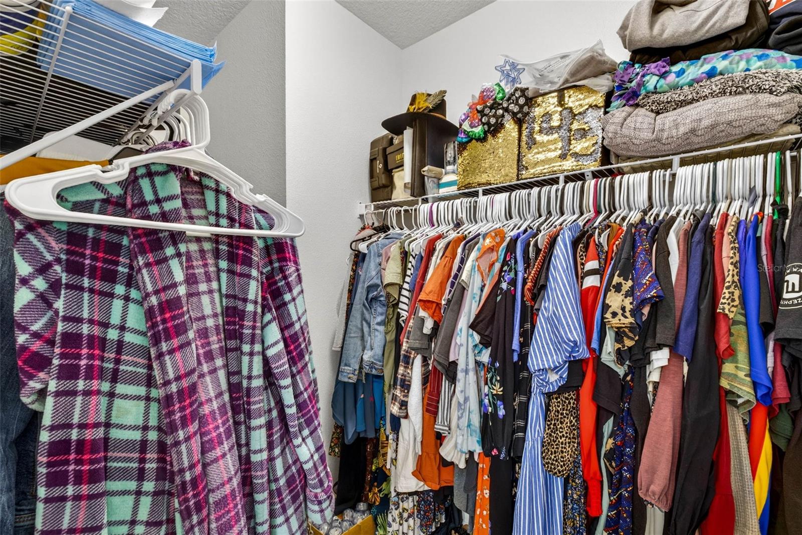 Primary Closet 2
