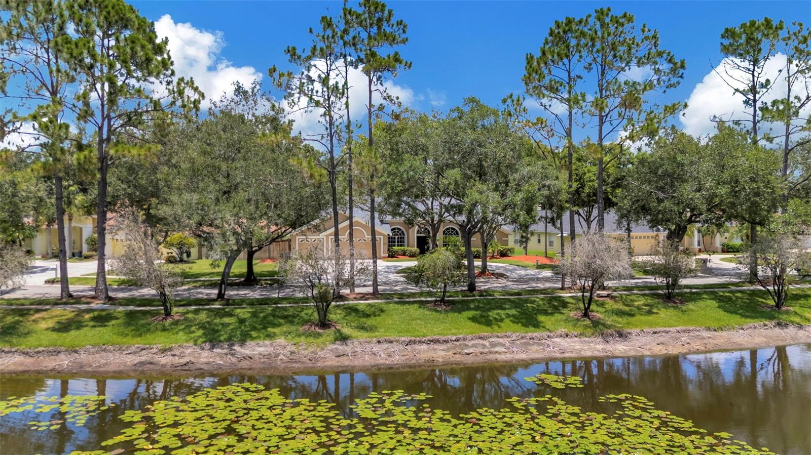 Front Pond View