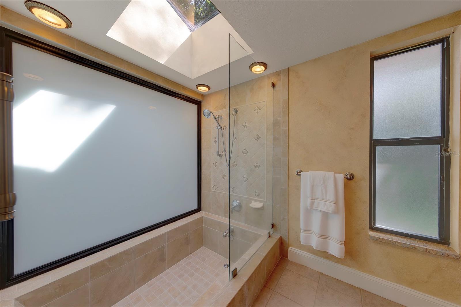 Natural light via skylight