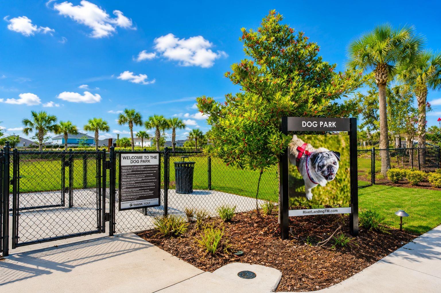 Dog park