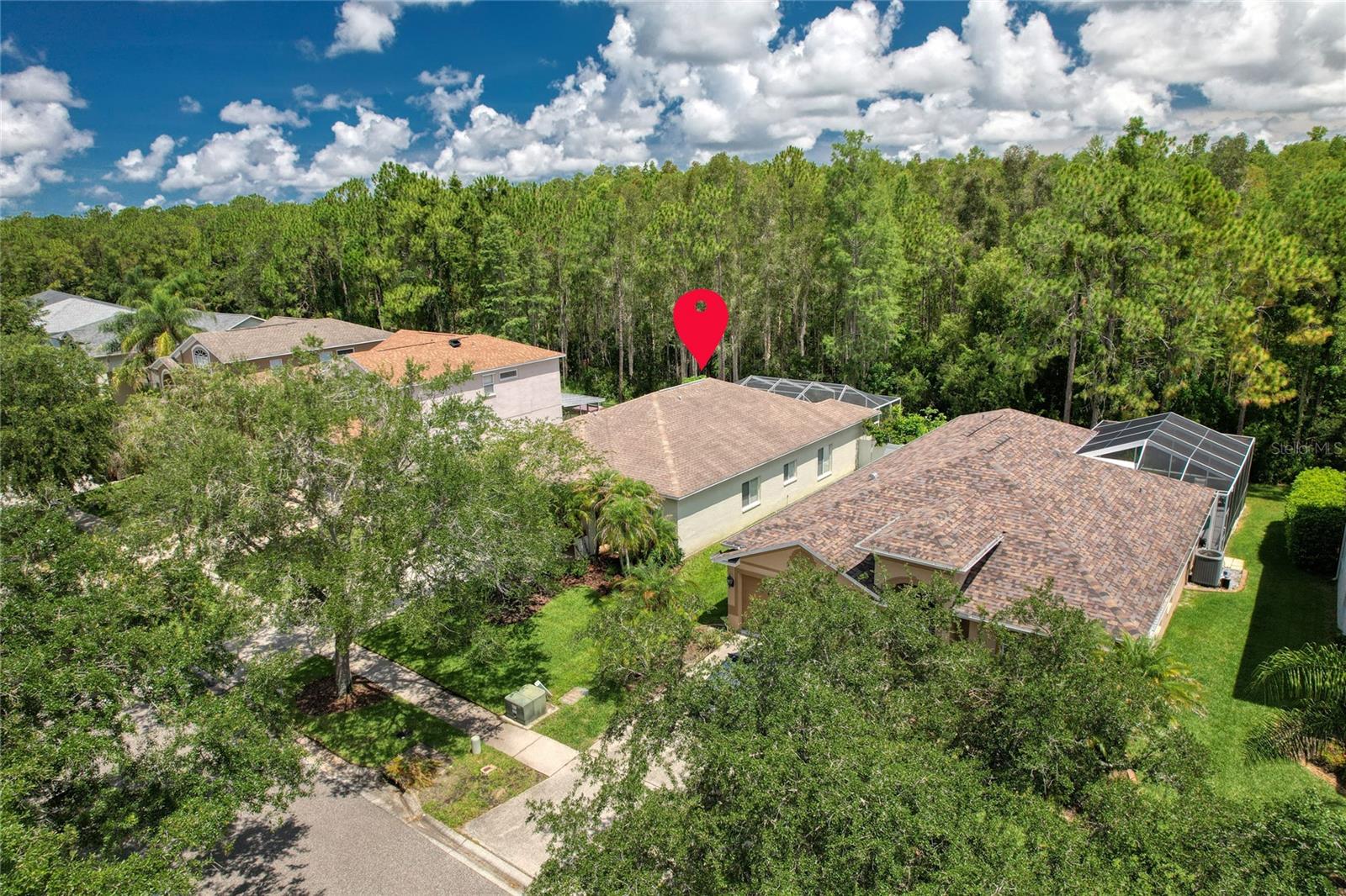 Fully updated pool home with a private wooded backdrop in The Eagles