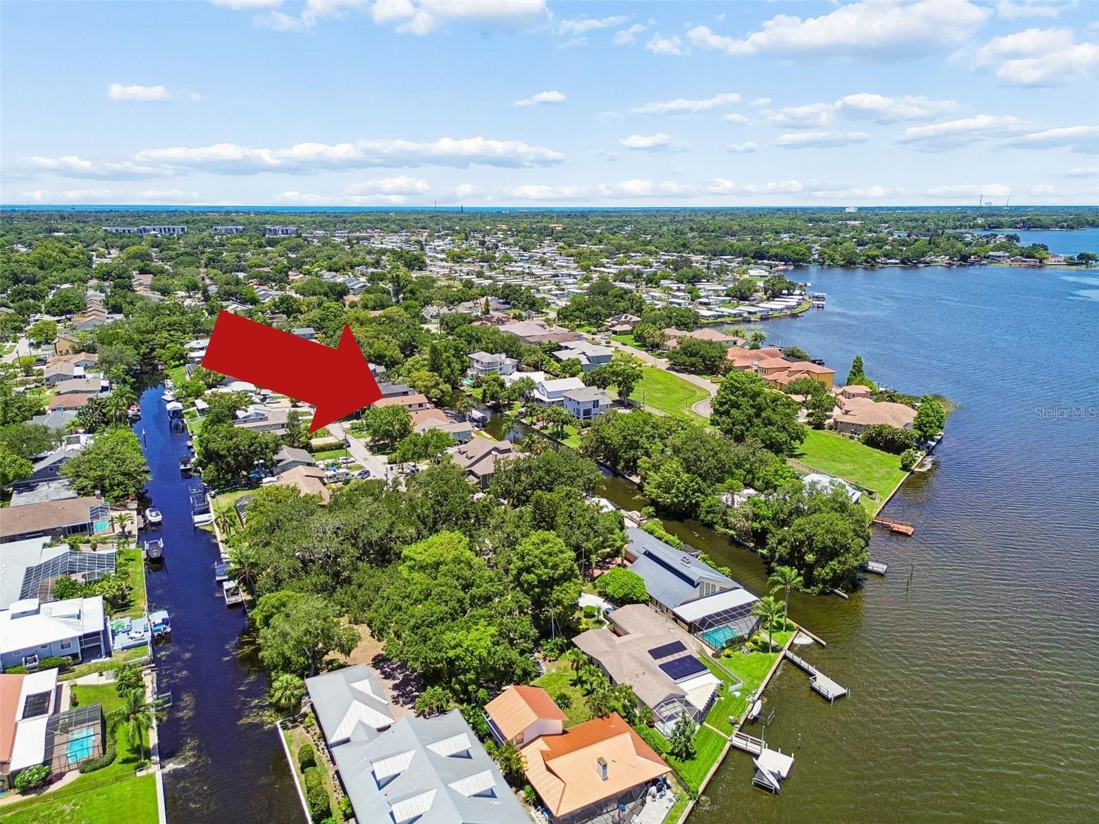 Enjoy the largest lake in Pinellas County.