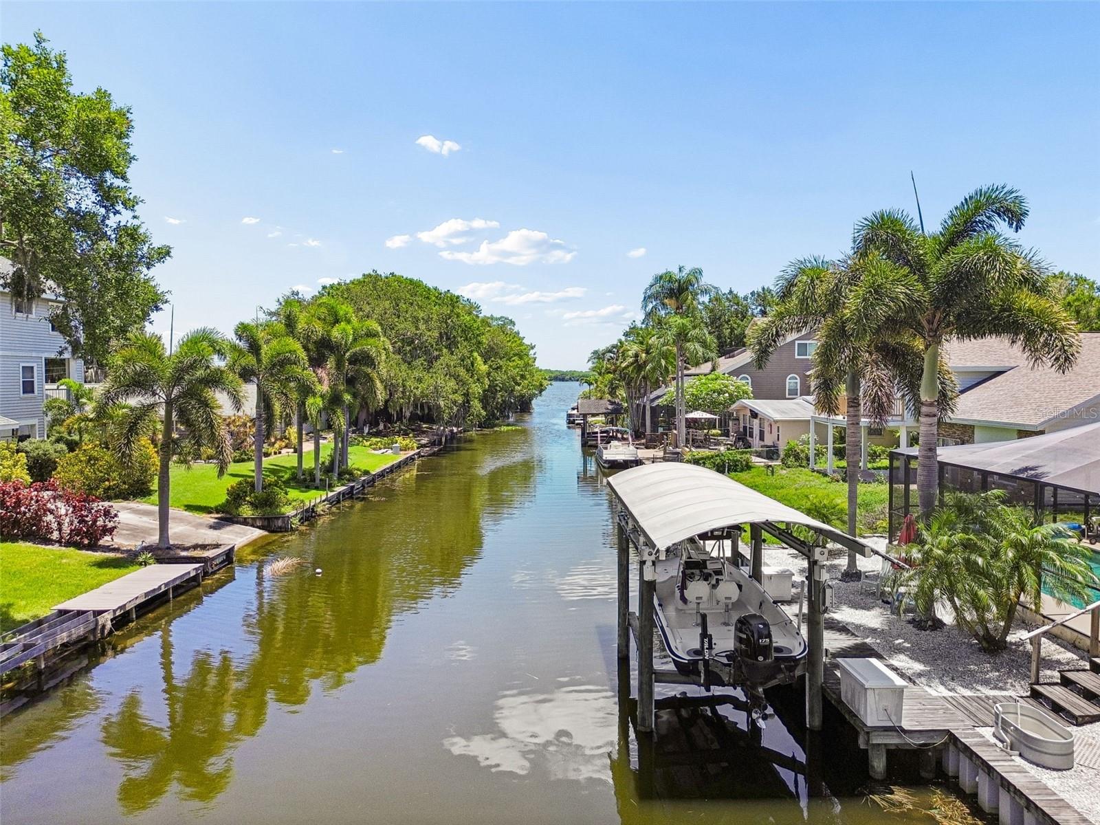 View to Lake Tarpon.