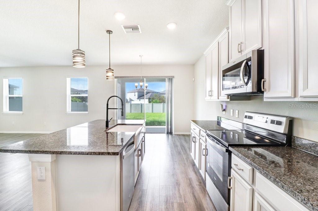 with 42" cabinets, island with farm sink, granite and stainless appliances