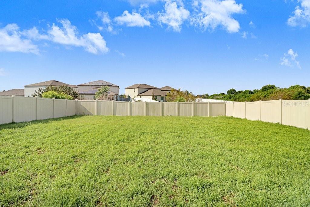 Back yard