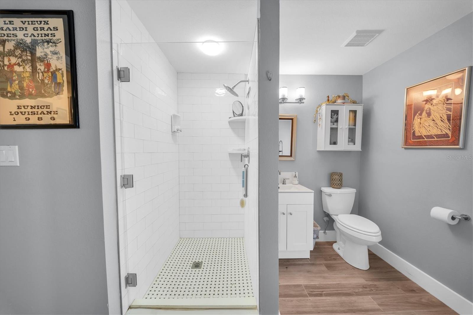 Guest/Pool Bathroom