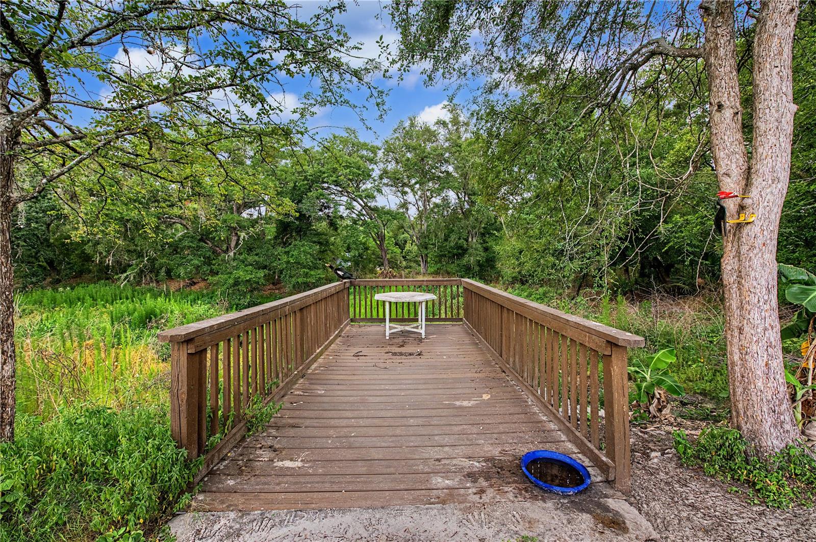 Backyard dock