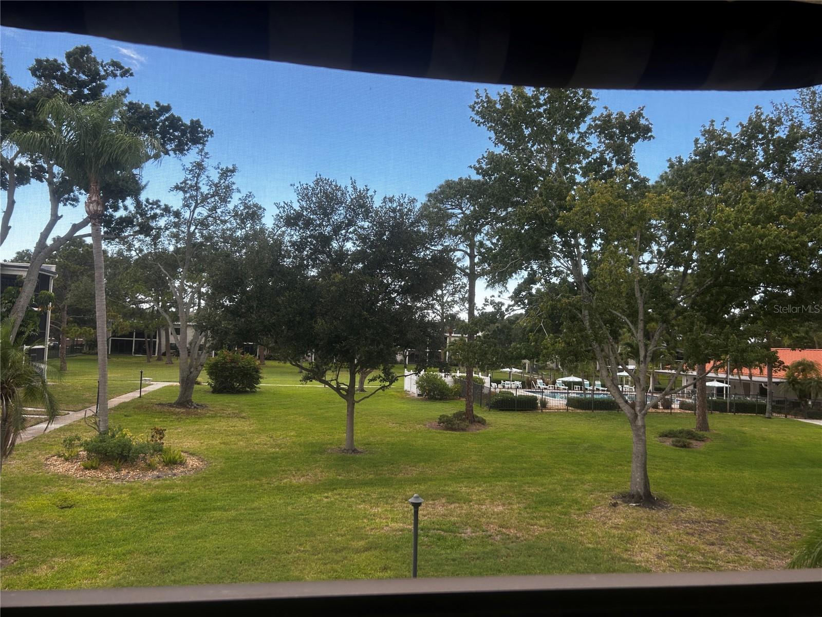 Acres of Greenery Right Out Back