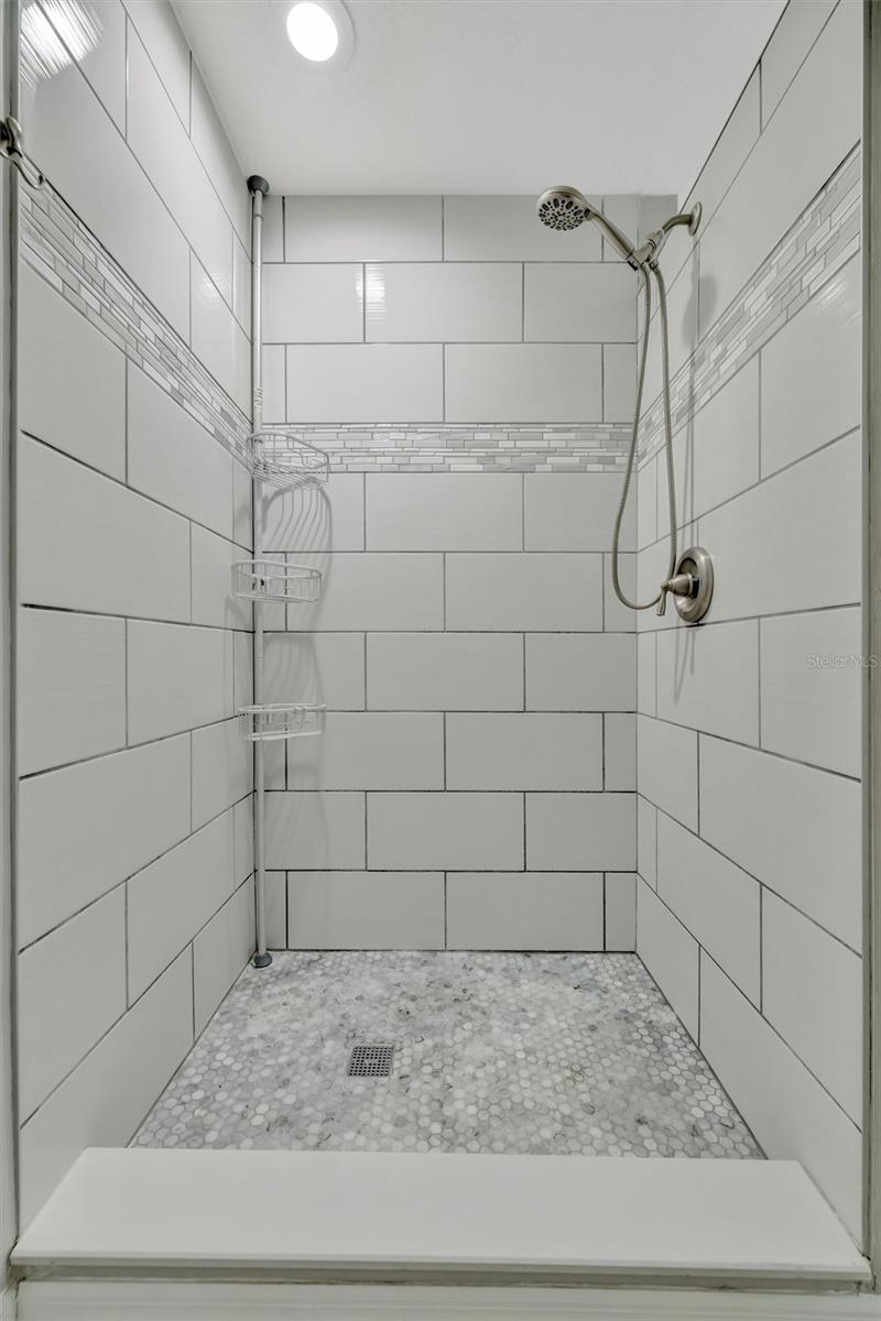 The Walk-In Shower in the Master Bath