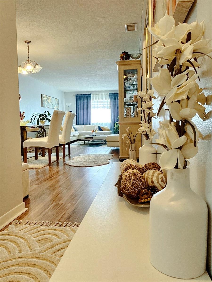 Entry way hall